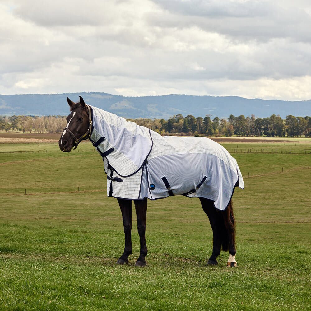 WeatherBeeta Pferde-Fliegendecke Weatherbeeta Airstream Combo