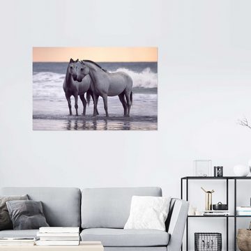 Posterlounge Wandfolie Wiebke Haas, Weiße Pferde am Strand, Badezimmer Maritim Fotografie