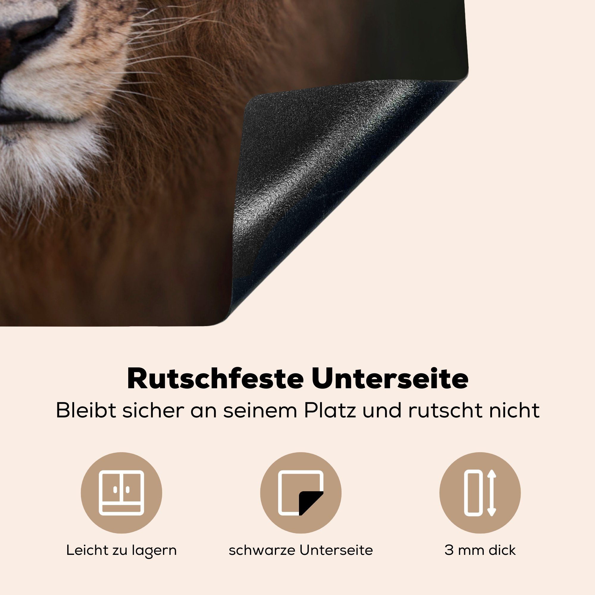 MuchoWow Herdblende-/Abdeckplatte Löwe für Induktionskochfeld cm, Ceranfeldabdeckung Schutz - (1 küche, tlg), Schatten - Wild, 81x52 die Vinyl