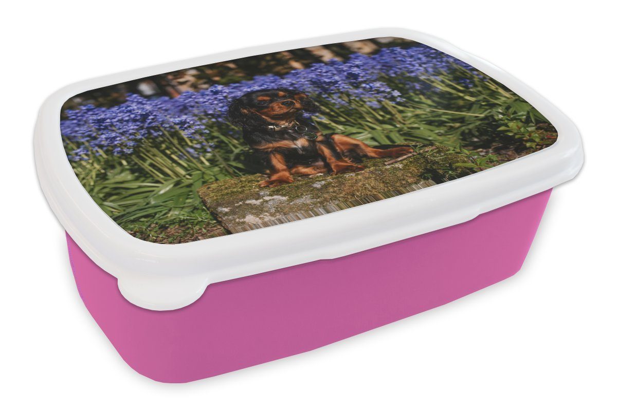 MuchoWow Lunchbox Ein Cavalier King Charles Spaniel zwischen den blauen Blumen, Kunststoff, (2-tlg), Brotbox für Erwachsene, Brotdose Kinder, Snackbox, Mädchen, Kunststoff rosa