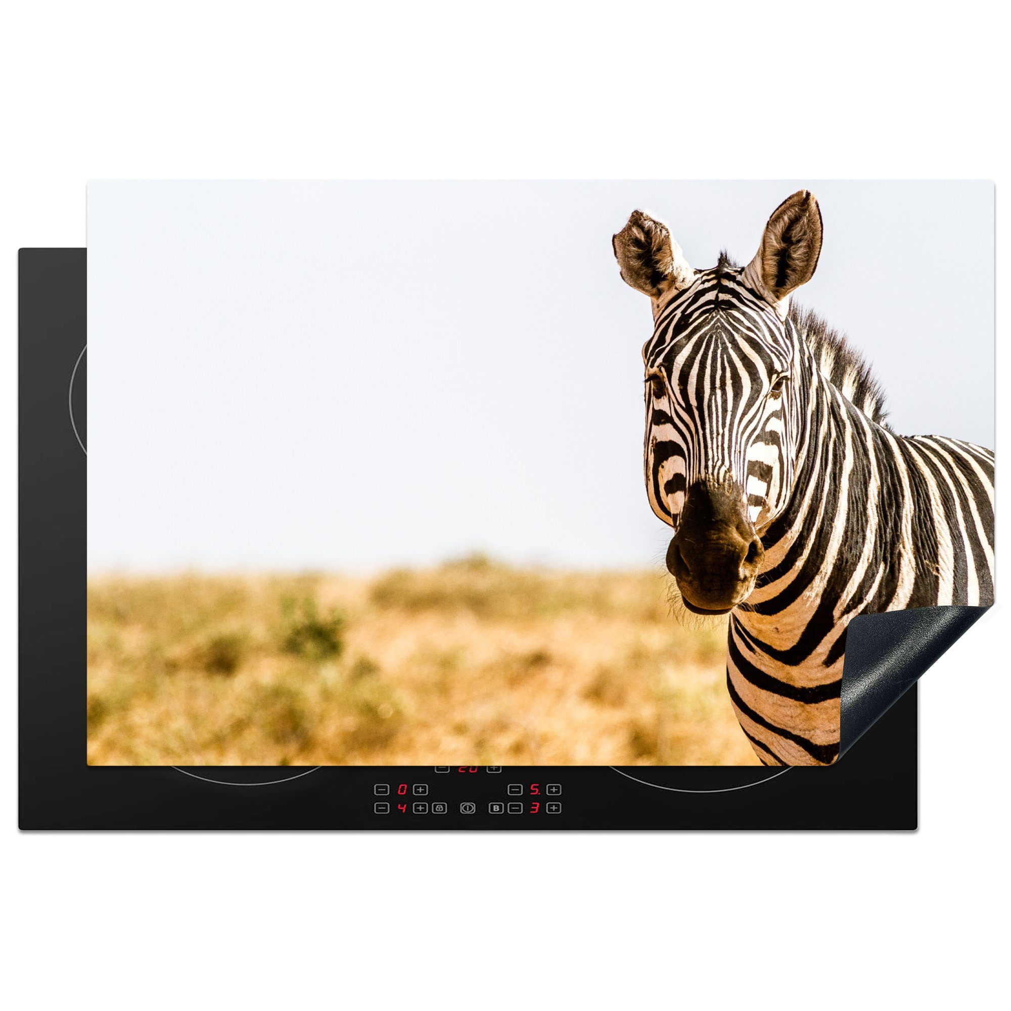 MuchoWow Herdblende-/Abdeckplatte Zebra in der Savanne aus nächster Nähe, Vinyl, (1 tlg), 81x52 cm, Induktionskochfeld Schutz für die küche, Ceranfeldabdeckung