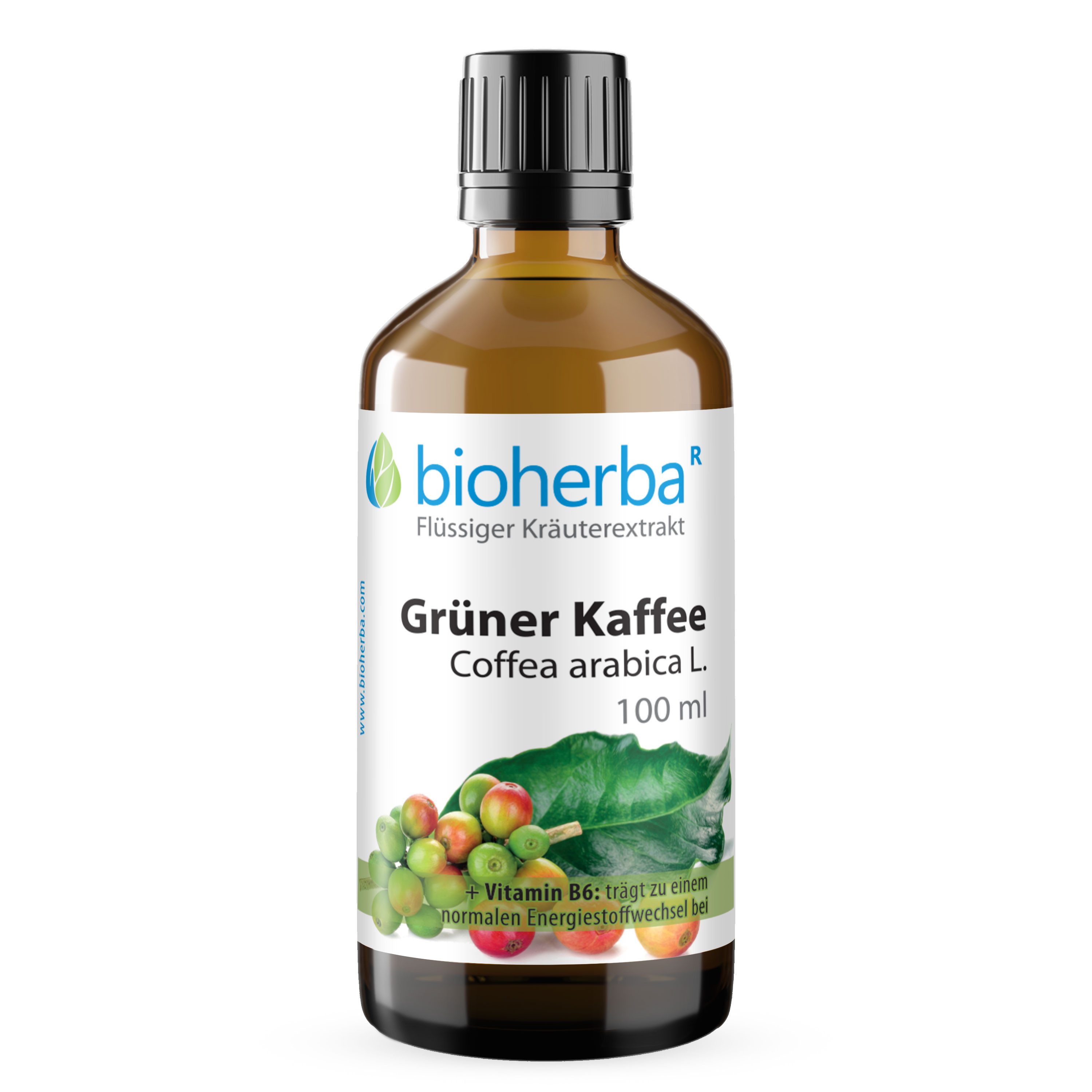 BIOHERBA R Bioherba Grüner Kaffee Coffea arabica L. Tropfen Tinktur 100 ml Glasflasche, 1 er