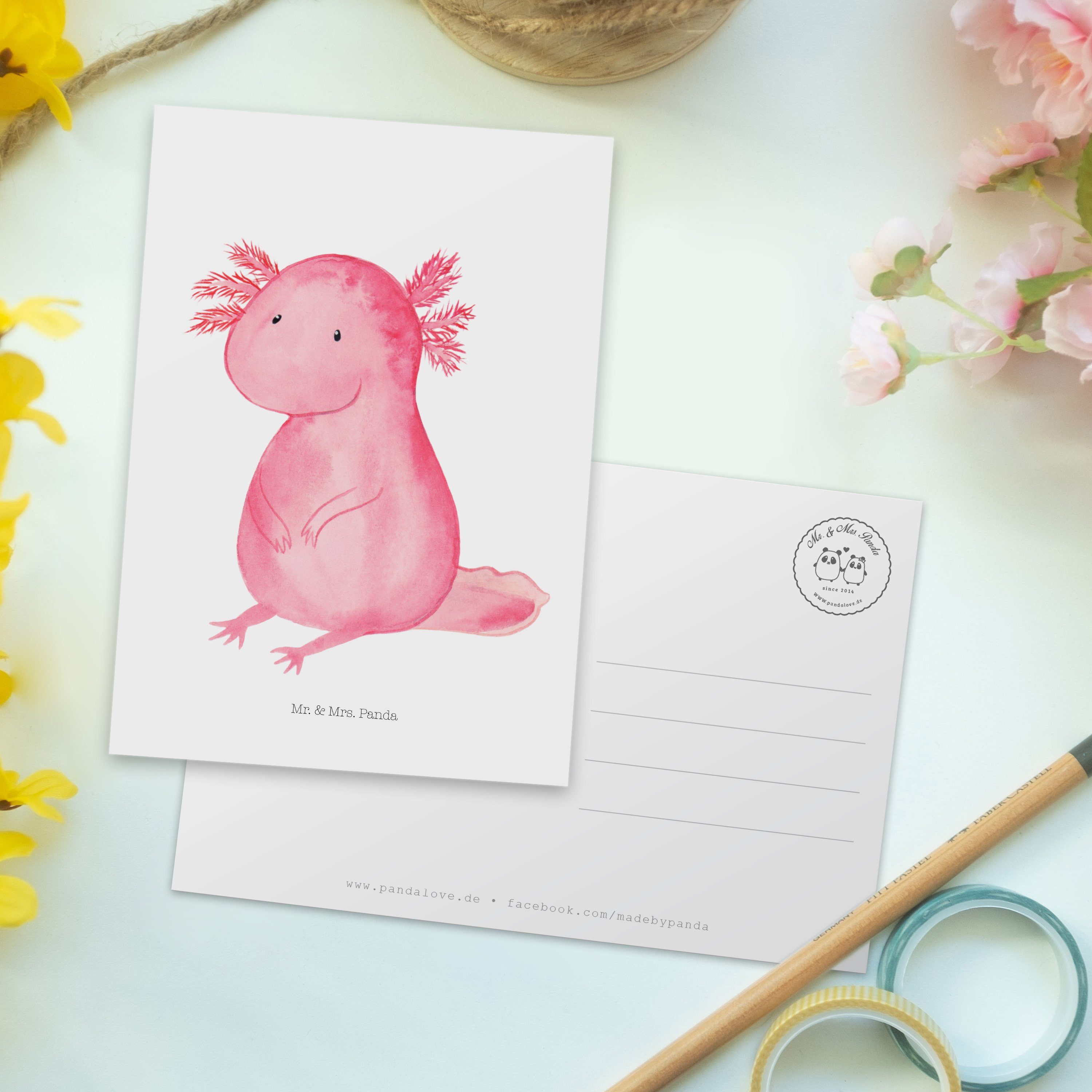Freundin, Mr. Panda Geburtstagskarte - Mrs. Weiß - Postkarte Geschenk, Axolotl & Ansichtskarte,