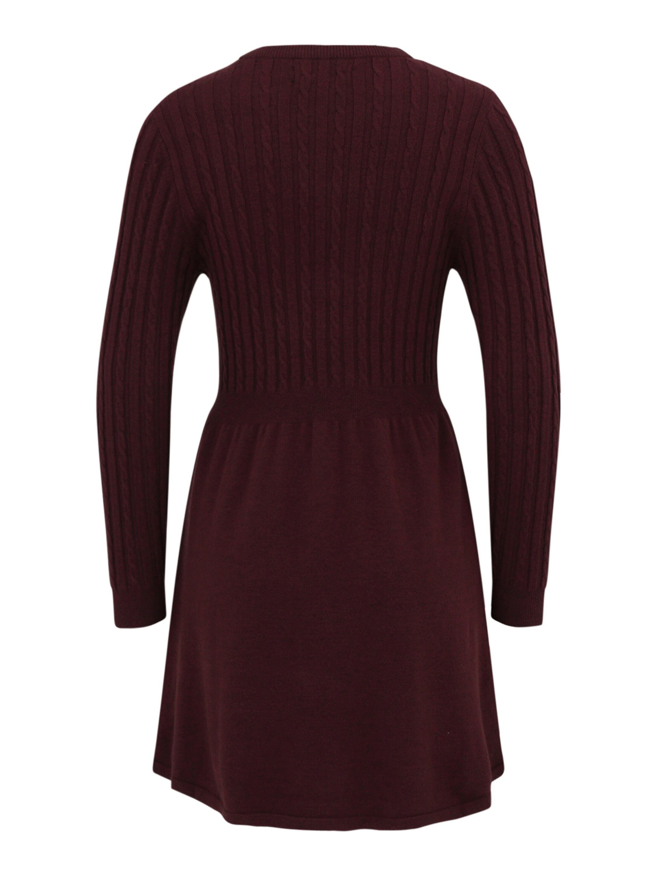ONLY Petite Minikleid ONLFIA (1-tlg) Plain/ohne günstig online kaufen