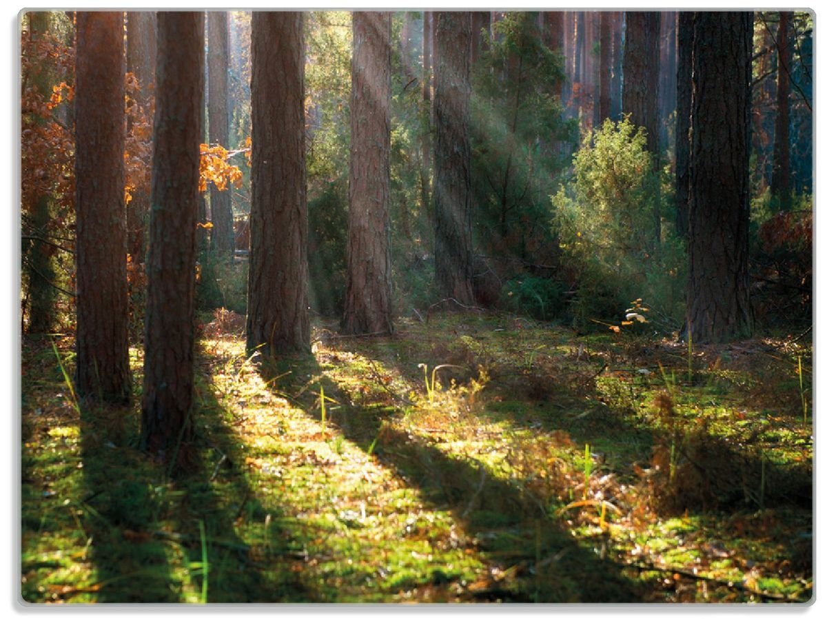 Wallario Schneidebrett Sonnenstrahlen im Herbstwald, ESG-Sicherheitsglas, (inkl. rutschfester Gummifüße 4mm, 1-St), 30x40cm