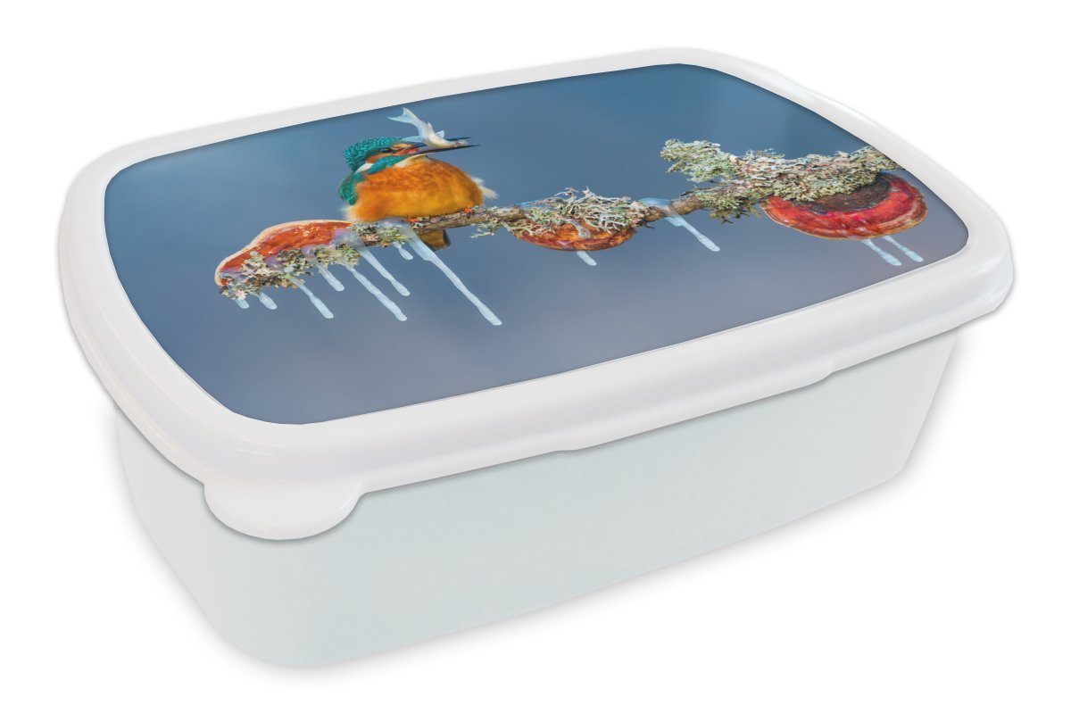 MuchoWow Lunchbox Eisvogel - für Brotdose, für Kinder Mädchen Jungs Kunststoff, weiß Brotbox - und und Erwachsene, (2-tlg), Fisch, Zweig