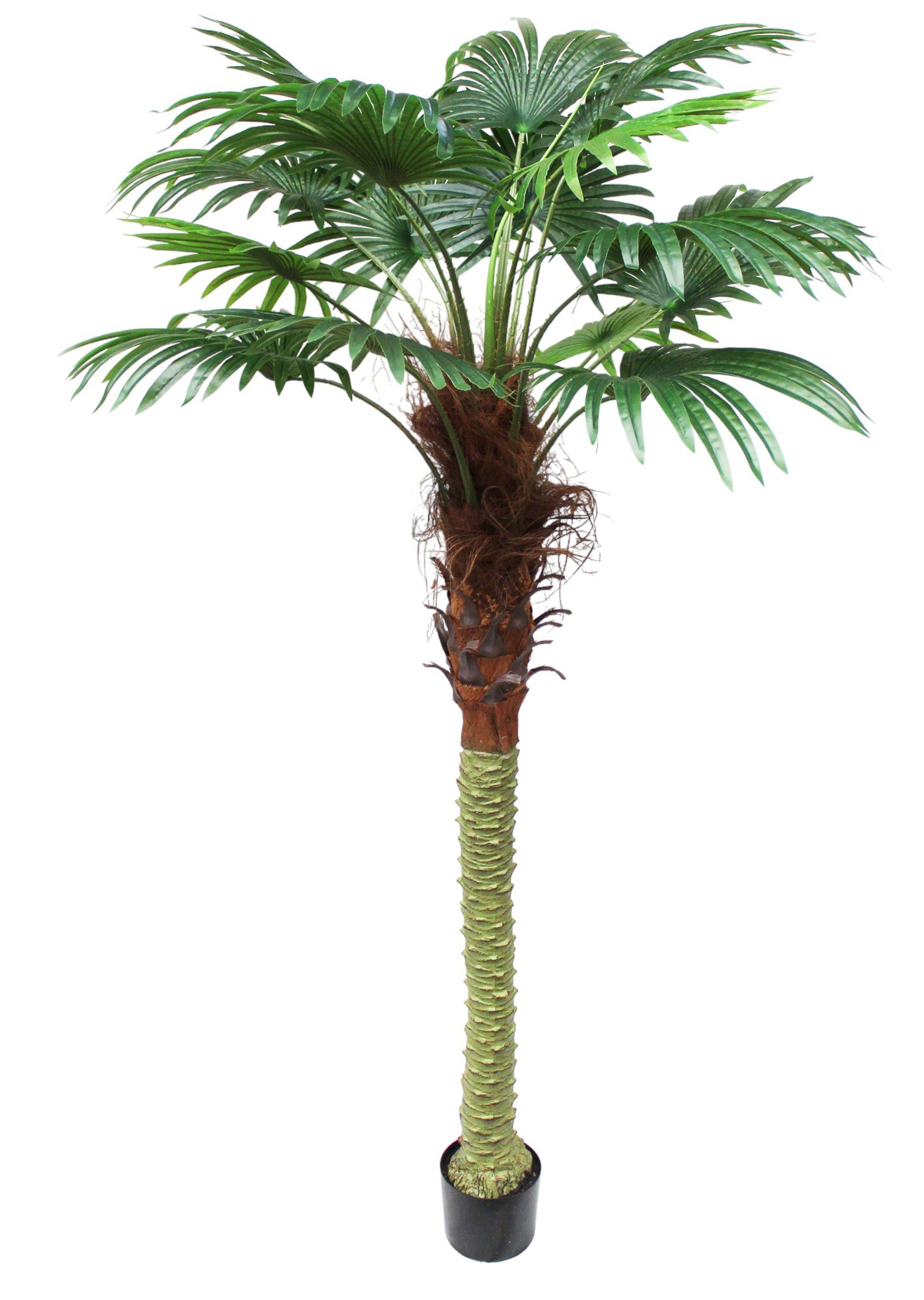 Kunstpalme große Fächerpalme, Arnusa, künstliche cm, Höhe mit Zimmerpflanze Palme Dekoration 200 Fächerpalme Kunstpflanze Topf