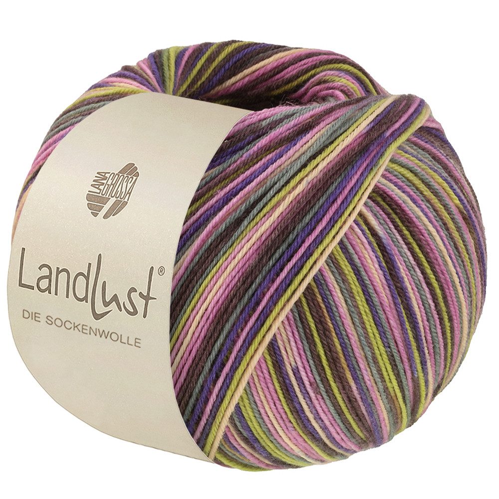 LANA GROSSA Landlust DIE SOCKENWOLLE mit Seide Häkelwolle, 400 m (Sockengarn von Lana Grossa und Landlust), 100 g