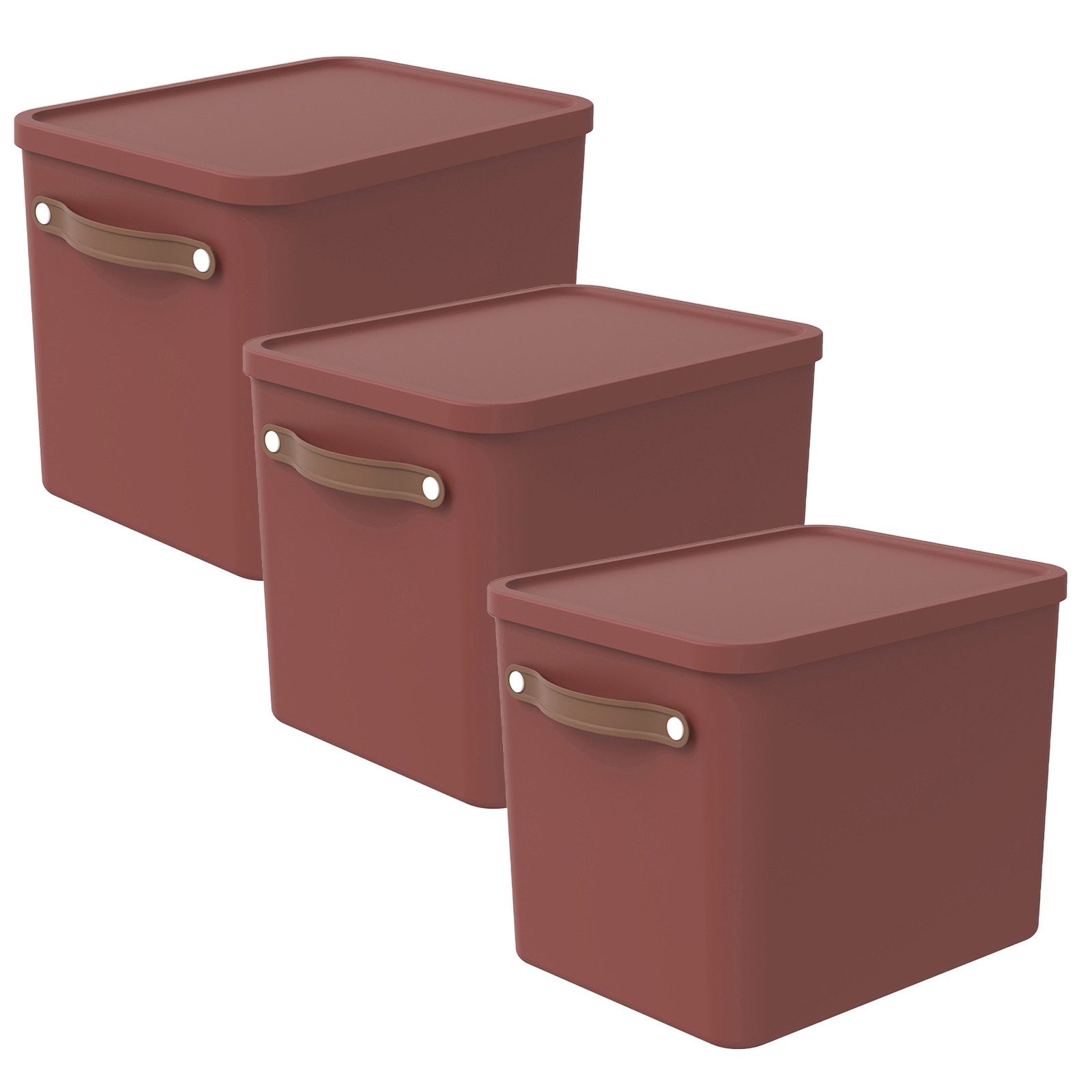 ROTHO Aufbewahrungsbox (Aufbewahrungsset, 2er-Set) günstig online kaufen