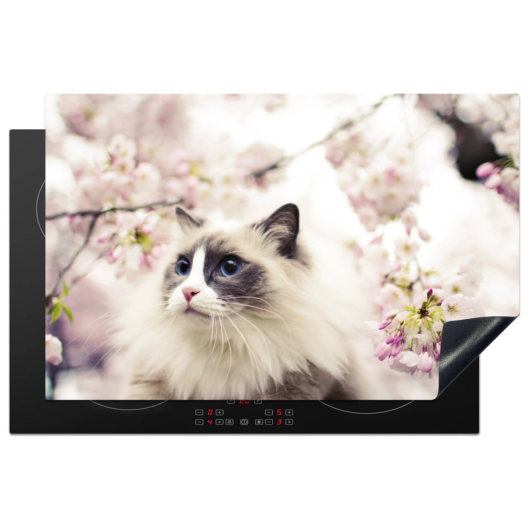 MuchoWow Herdblende-/Abdeckplatte Sakura - Katze - Farben, Vinyl, (1 tlg), 81x52 cm, Induktionskochfeld Schutz für die küche, Ceranfeldabdeckung