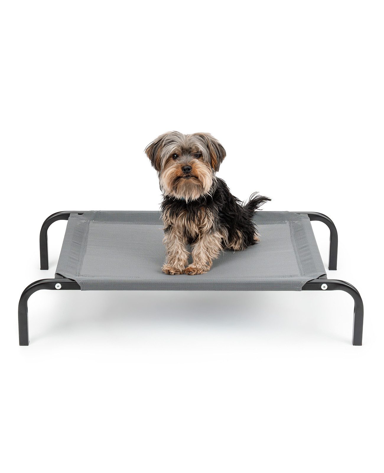 lionto Hundebett erhöht, Outdoor Hundeliege, Mesh-Material, bequem, luftig & wetterfest