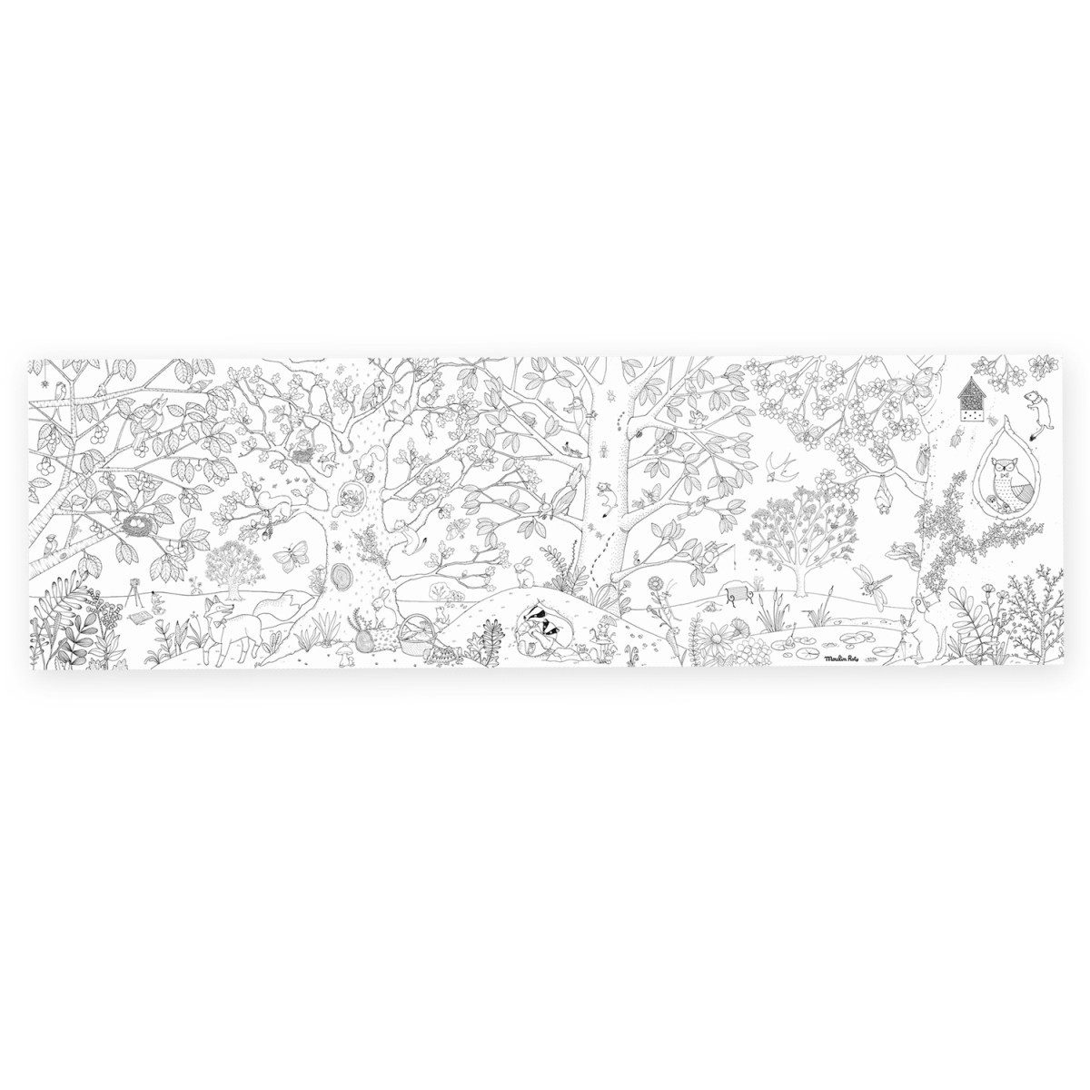 Moulin Roty Malvorlage Riesiges Ausmalposter Le botaniste Ausmalbild 150x45cm