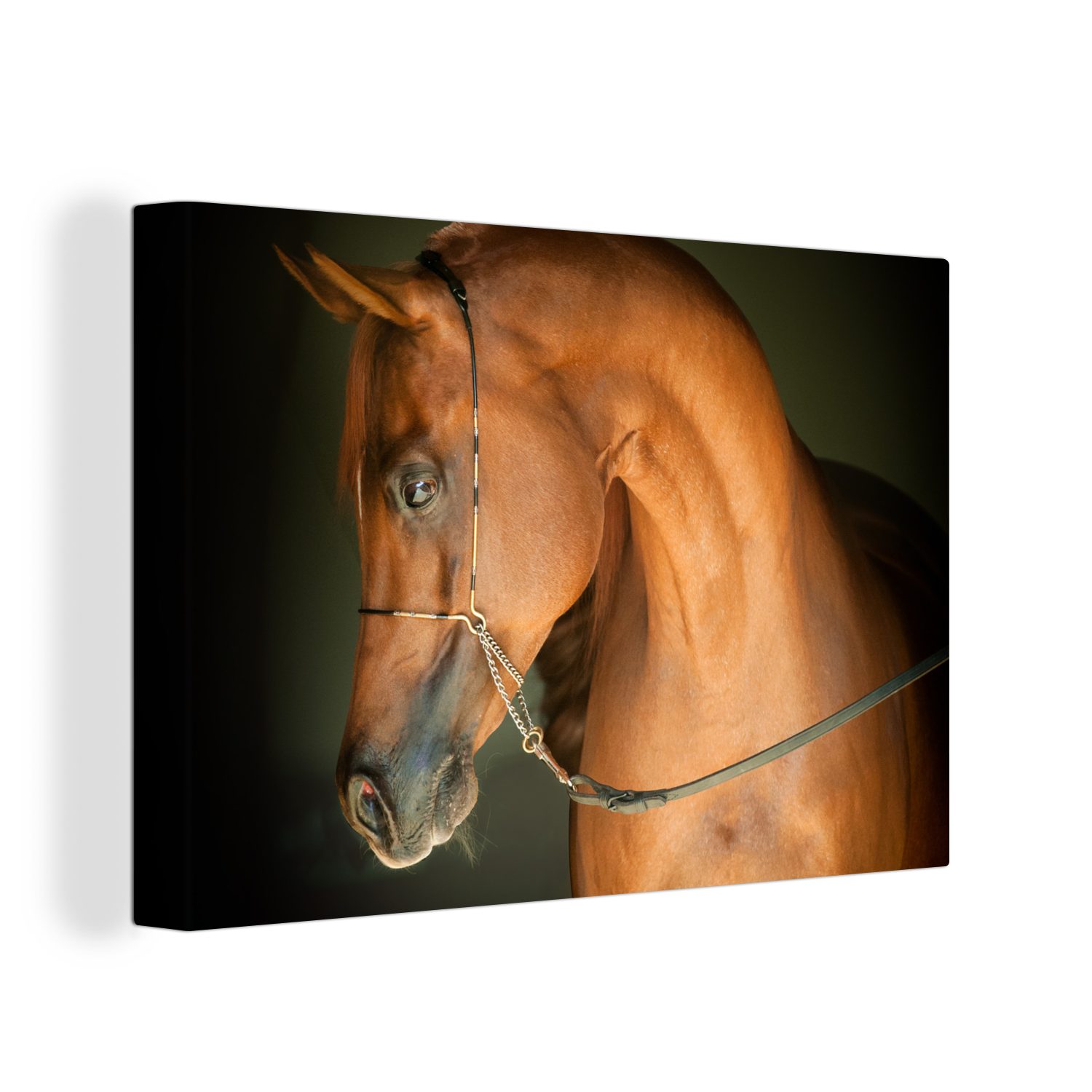 OneMillionCanvasses® Leinwandbild Pferd - Braun - Zaumzeug, (1 St), Wandbild Leinwandbilder, Aufhängefertig, Wanddeko, 30x20 cm