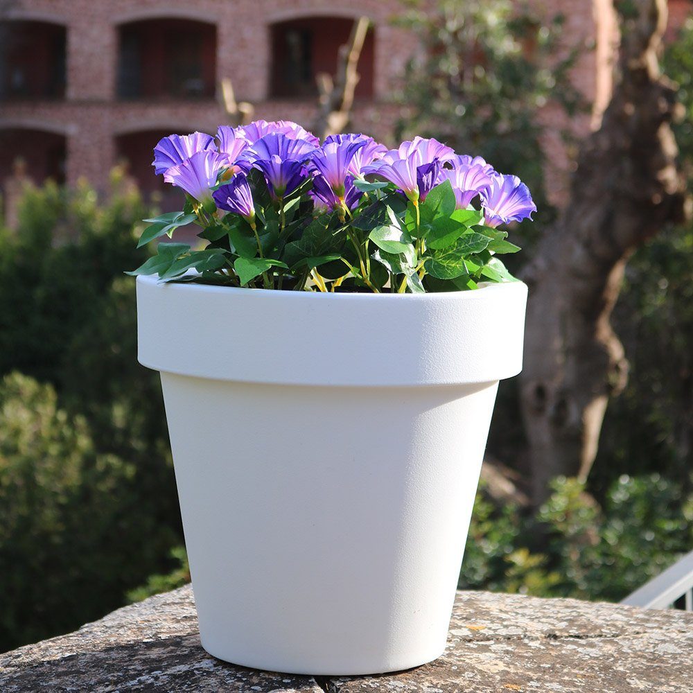 Licht-Trend Dekolicht Beleuchteter Blumentopf Magnolia Big. Reduzierter Preis € 181,00. Unverbindliche Preisempfehlung € 202,00