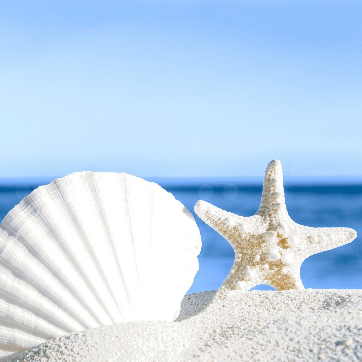 HOME FASHION Papierserviette 20 Servietten Shells by the Sea 33x33cm, (20 St)