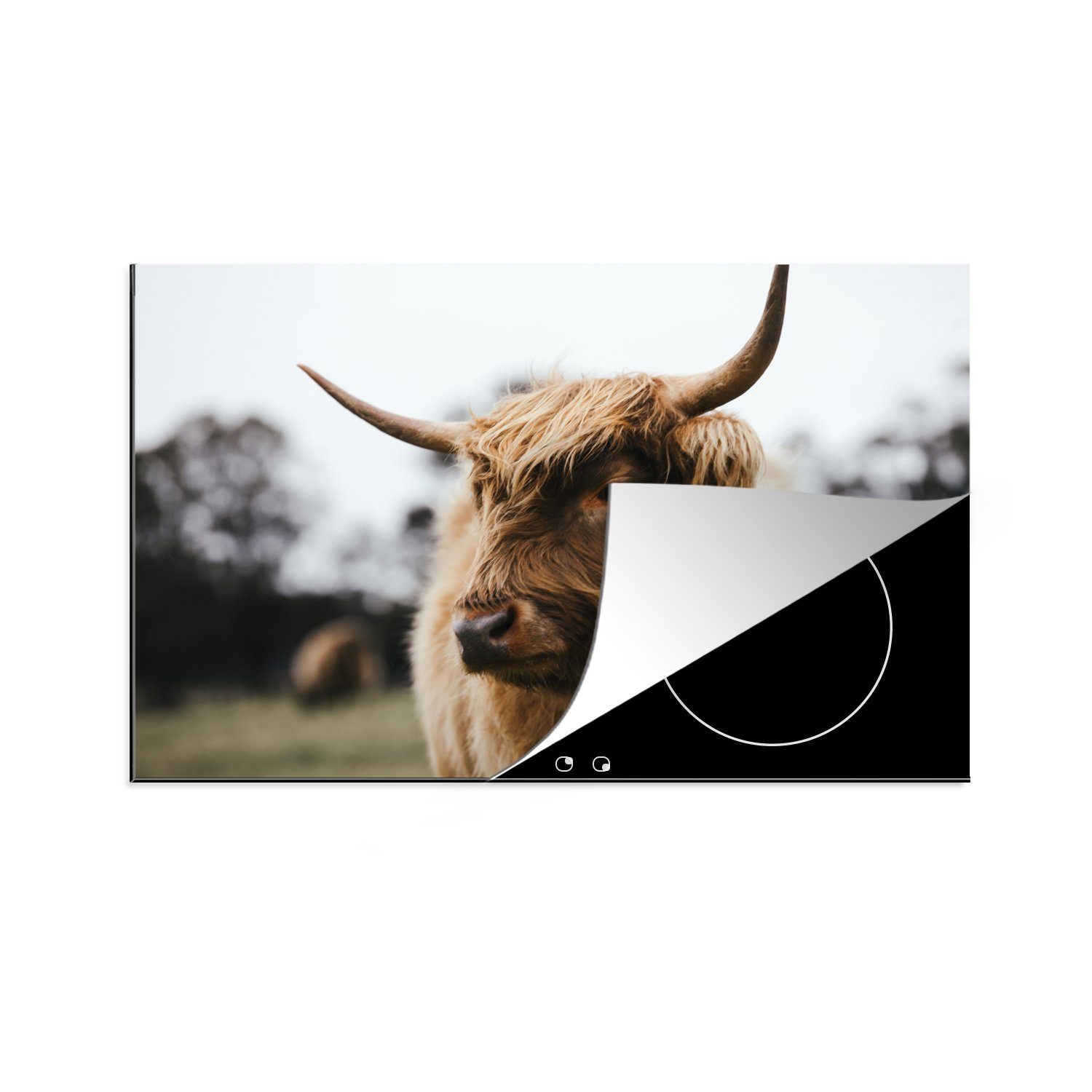 MuchoWow Herdblende-/Abdeckplatte Schottischer Highlander - Tiere - Hörner, Vinyl, (1 tlg), 81x52 cm, Induktionskochfeld Schutz für die küche, Ceranfeldabdeckung
