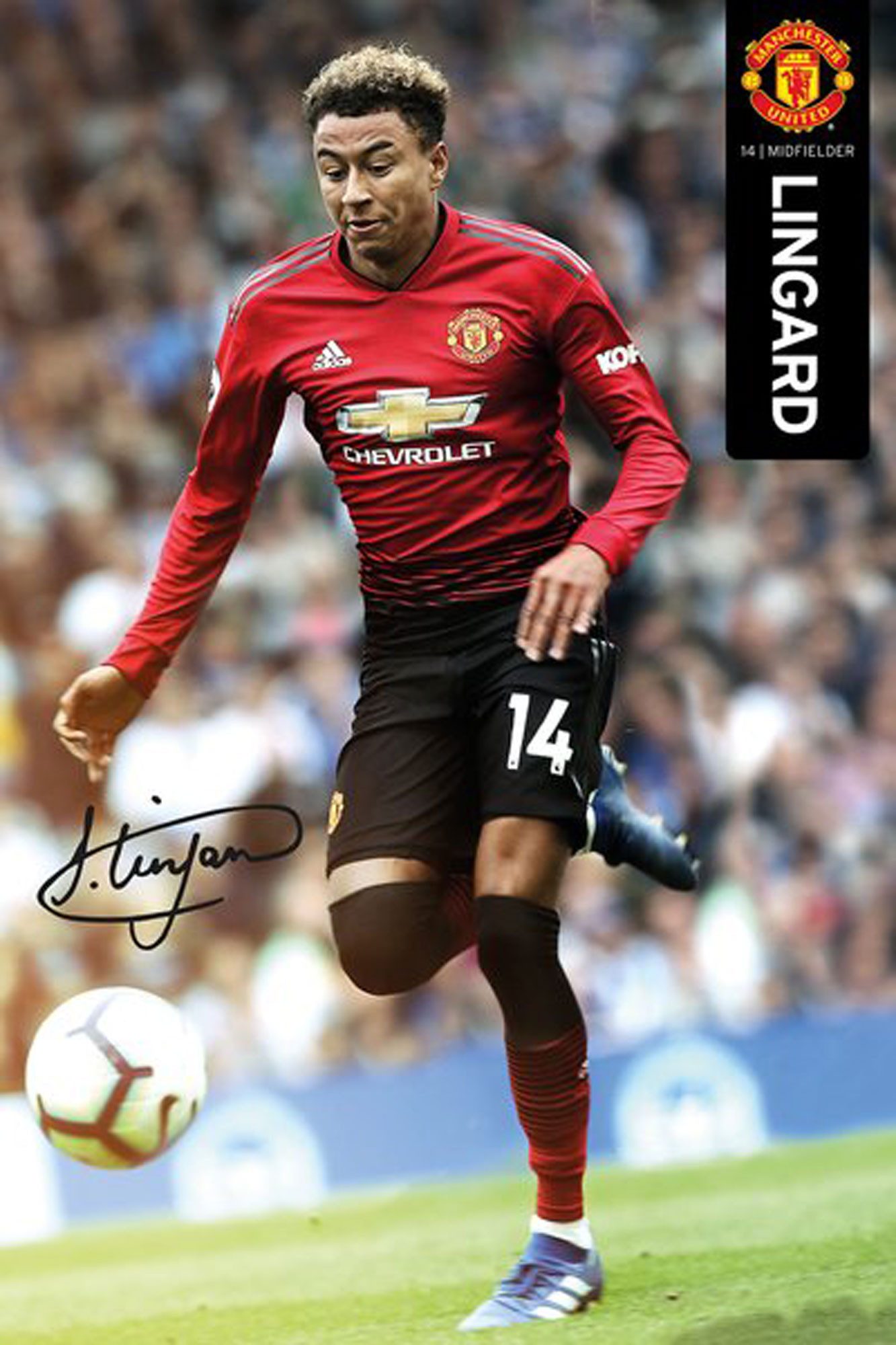 Poster Fußball - Poster - Manchester United - Lingard 18/19