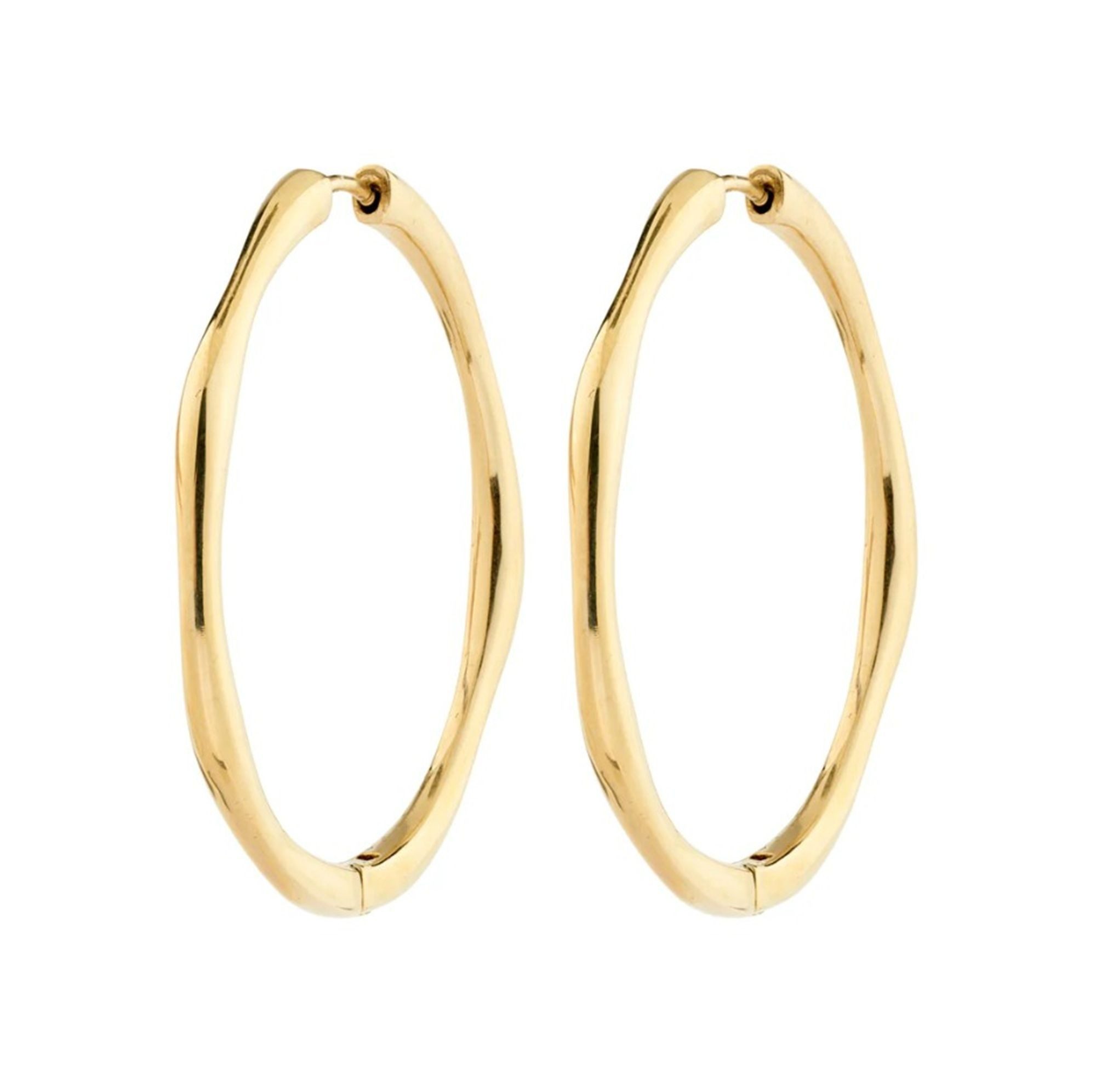 Pilgrim Single-Creole Haze