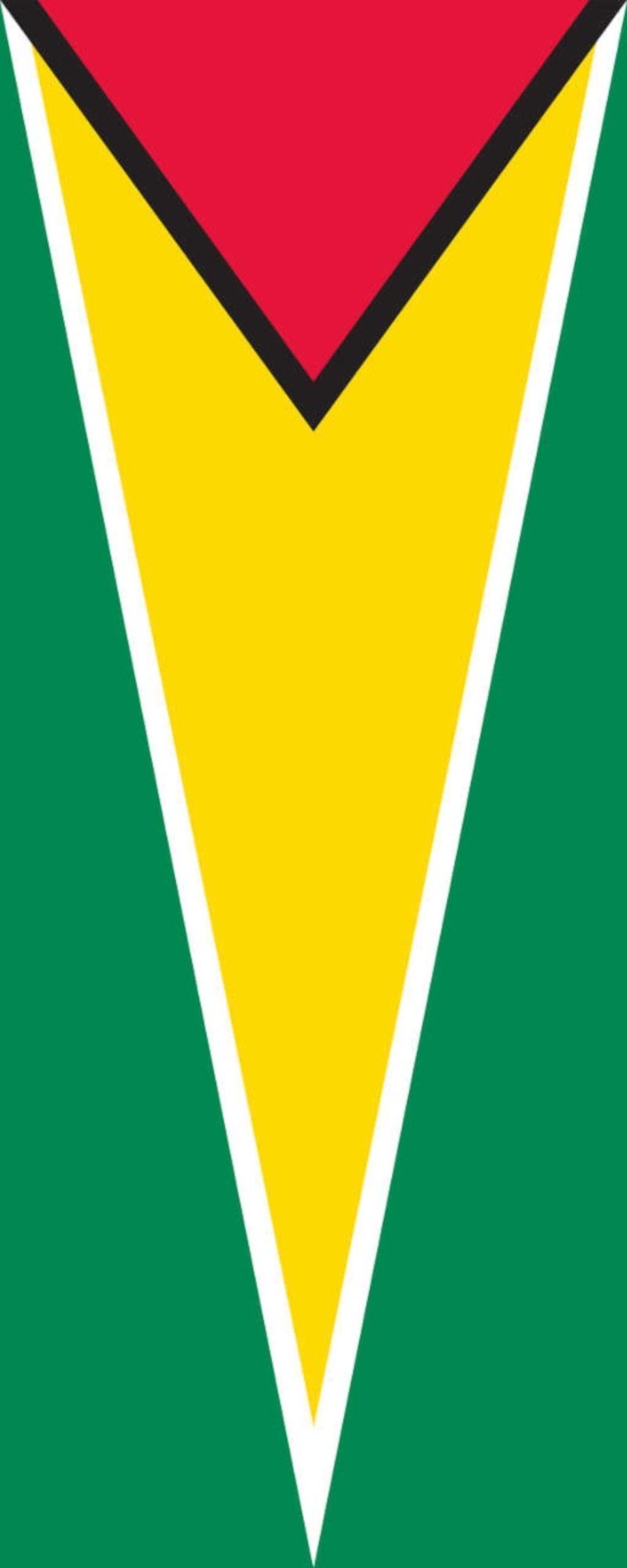 flaggenmeer Flagge Flagge Guyana 110 g/m² Hochformat