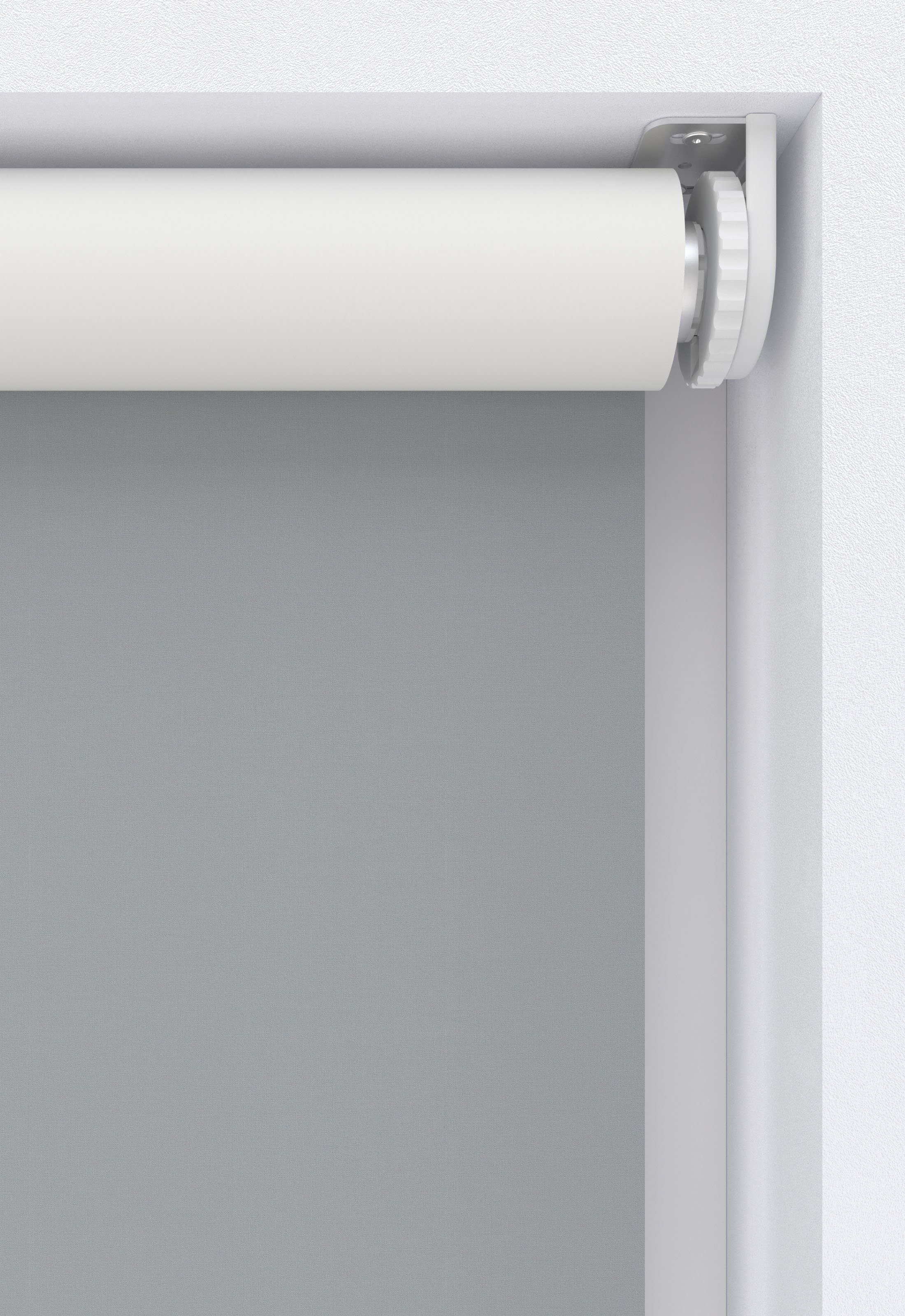 my home Springrollo »Tia«, abdunkelnd, Verdunkelung-energiesparend-Sichtsch günstig online kaufen