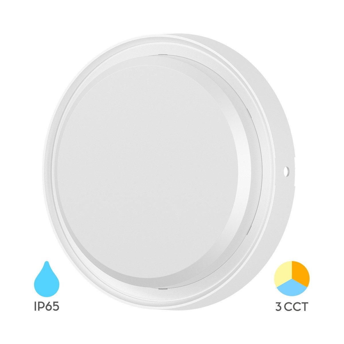 Braytron LED Deckenleuchte 12W Wandleuchte 3 Lichtfarben 1320 Lumen Wetterfest, LED fest integriert, Neutralweiß, Kaltweiß, Warmweiß, Energieeffizient, Flimmerfrei, Langlebig, Spritzwassergeschützt, 3CCT