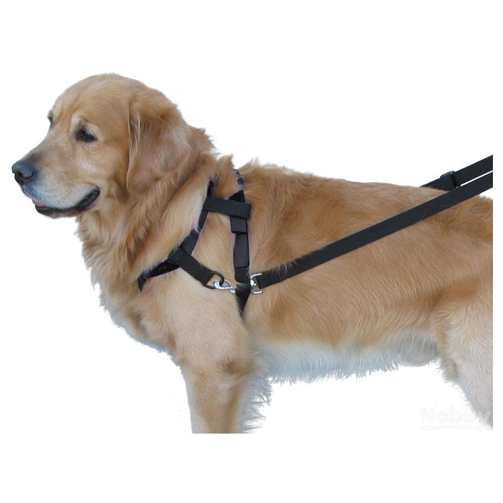 Nobby Hunde-Erziehungsgeschirr Top Walk
