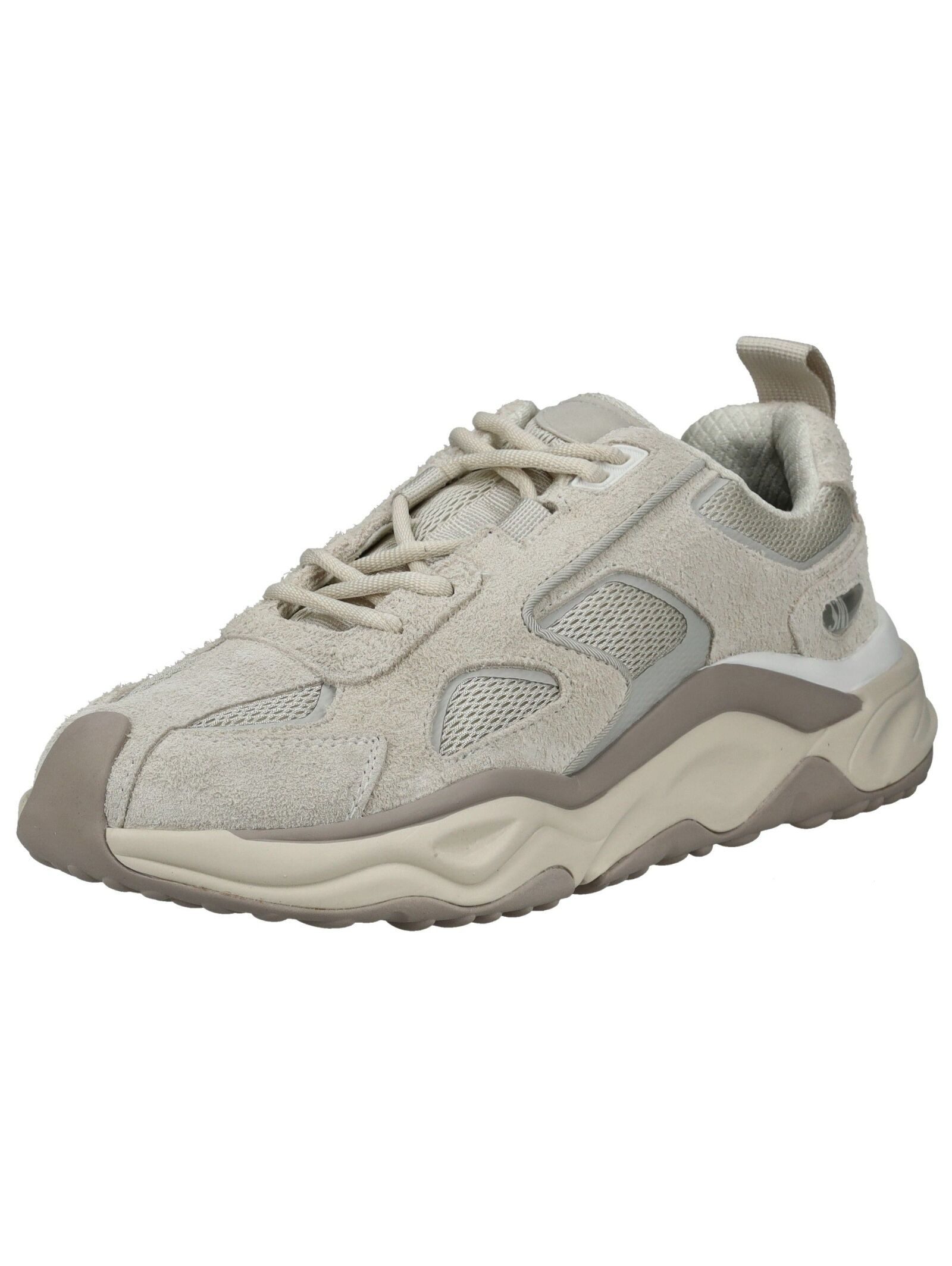 STEVE MADDEN STEVE MADDEN Sneaker Leder Sneaker