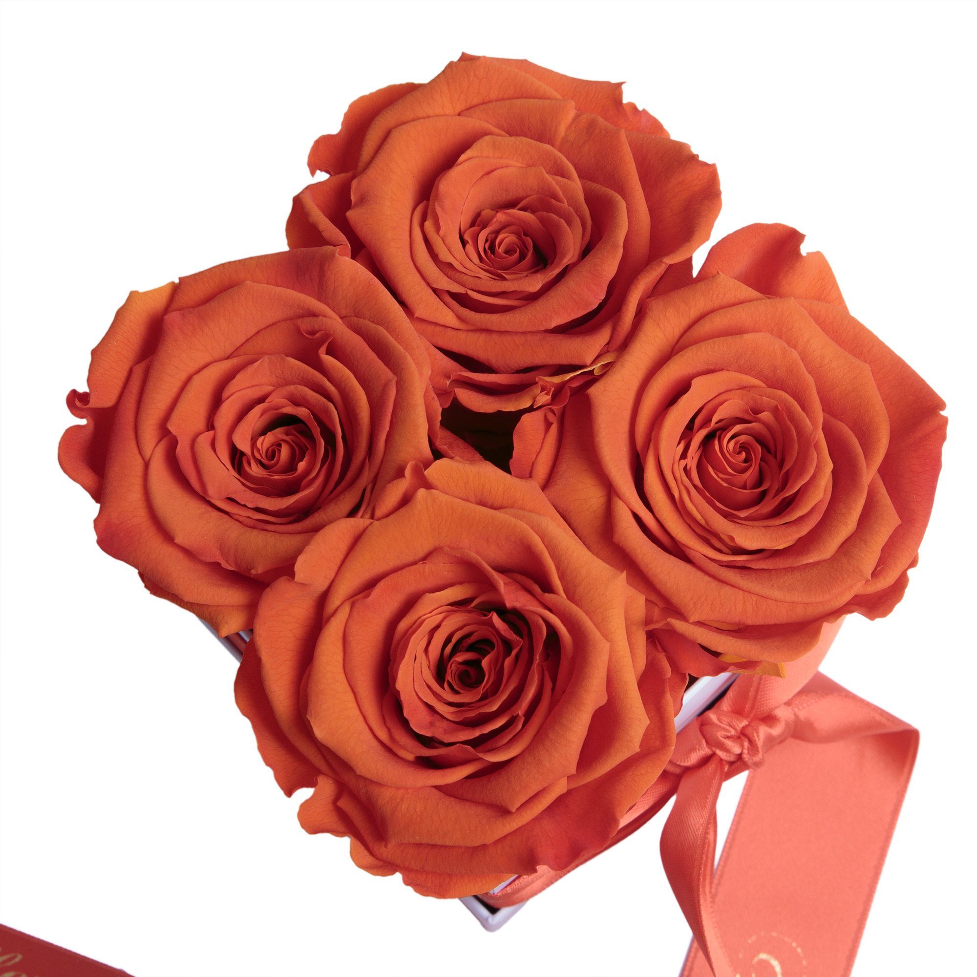 SCHULZ bis haltbar orange ROSEMARIE Liebe Jahre Geschenk, Rose Blumen Heidelberg Rosenbox Infinity 3 Echte Geburtstag Dekoobjekt zu zum Alles