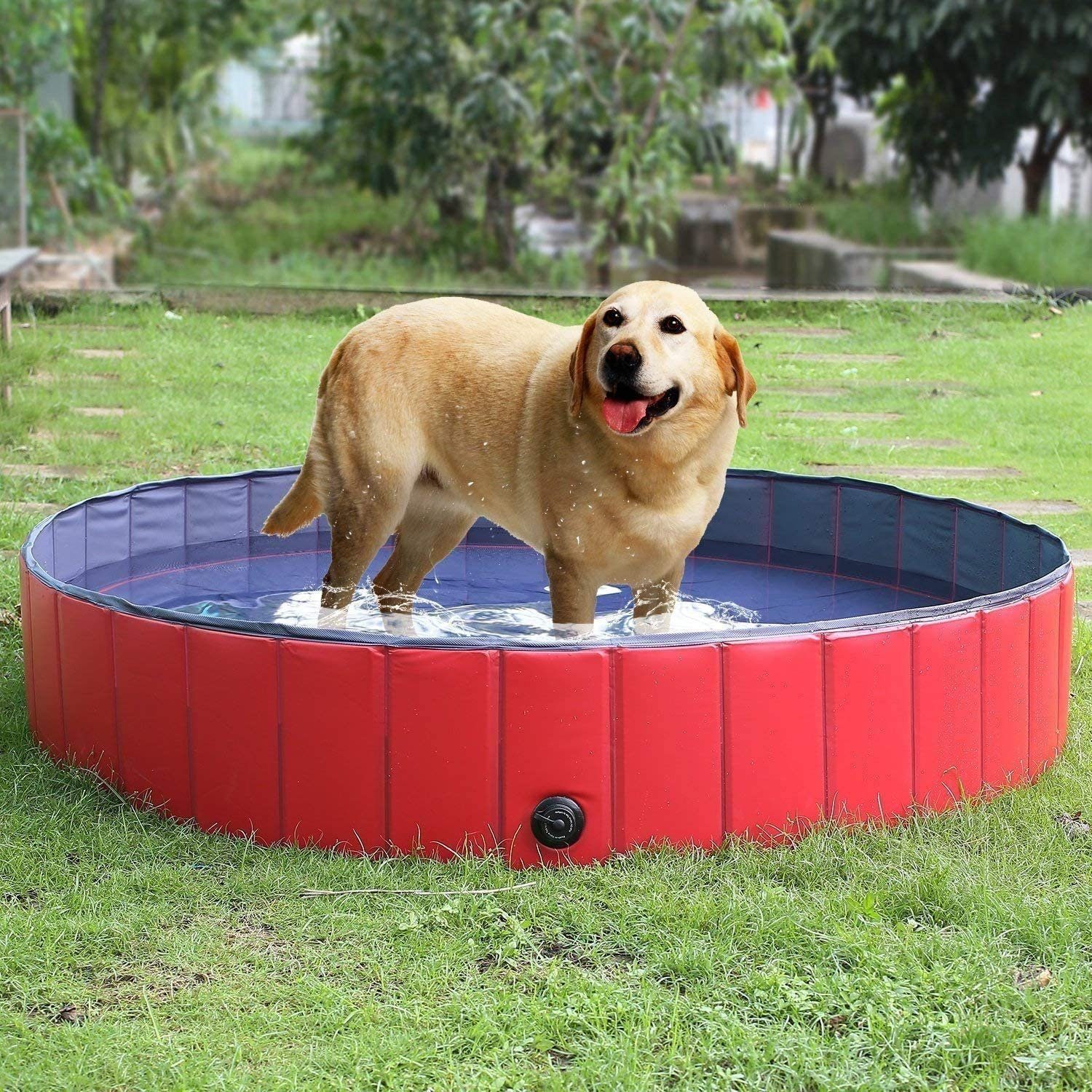 Pedy Hundepool, hundeplanschbecken Swimmingpool für Hunde, Katzen,  Piegevoles Schwimmbecken aus PVC, Faltbarer Hundebadewanne rutschfest für  Klein&Groß Hunde, für Kinder Geschenk online kaufen | OTTO