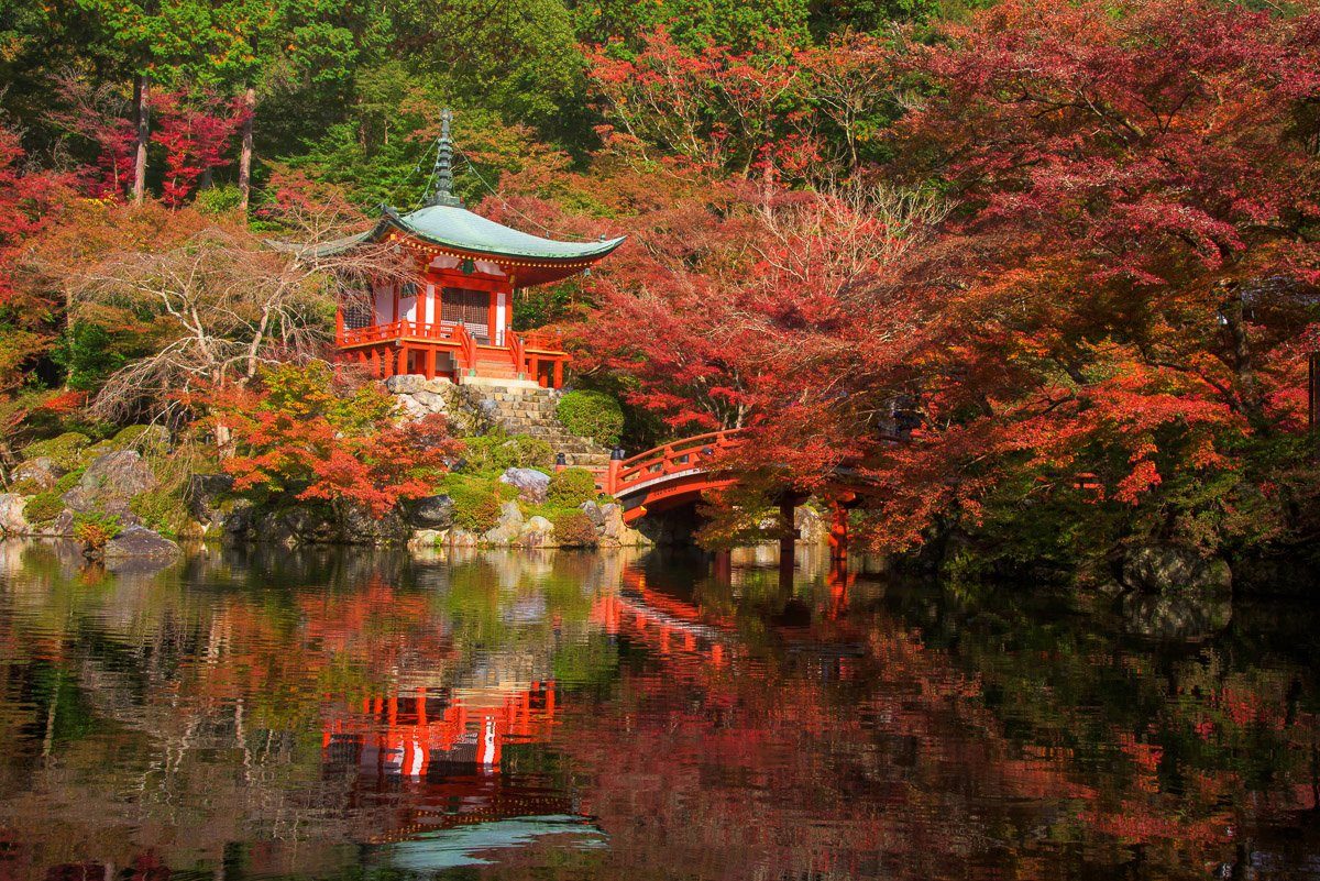 Papermoon Fototapete japanischer Garten