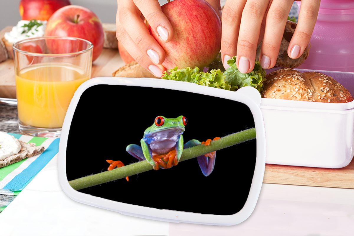 MuchoWow Lunchbox Frosch Jungs - und Brotbox Kinder (2-tlg), für Schwarz, Bambus für Mädchen und weiß Erwachsene, - Kunststoff, Brotdose