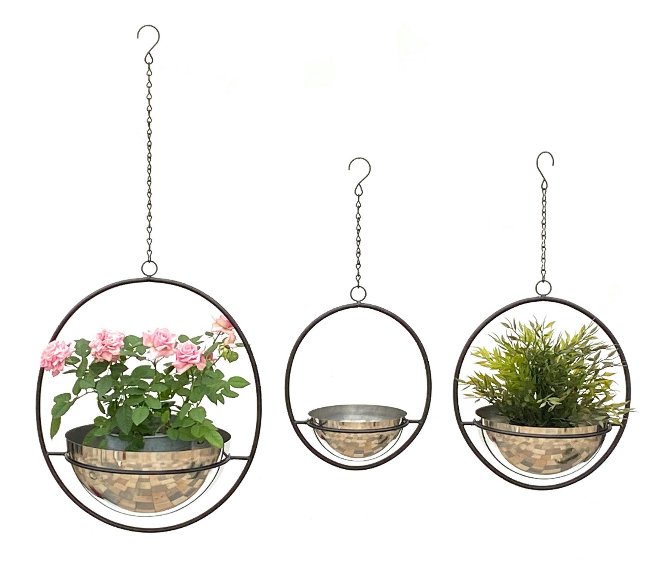 DanDiBo Blumenampel »Blumenampel Innen Metall Wand Hängepflanzen 96087