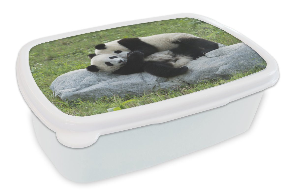 MuchoWow Lunchbox Pandas - Gras - Stein, Kunststoff, (2-tlg), Brotbox für Kinder und Erwachsene, Brotdose, für Jungs und Mädchen weiß