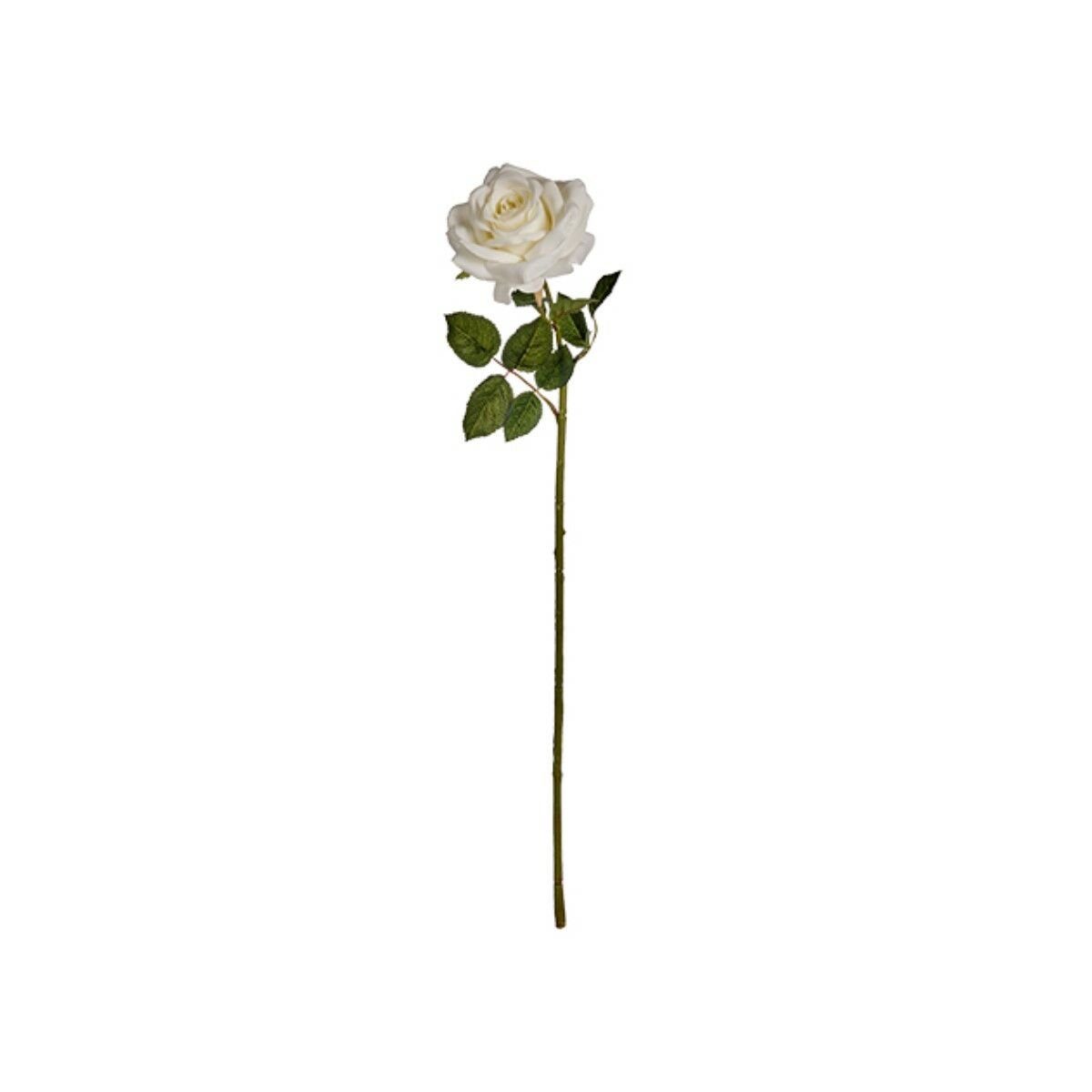 Weiß Papier Kunststoff Dekorative Ibergarden 12 Dekoobjekt Blume Stück
