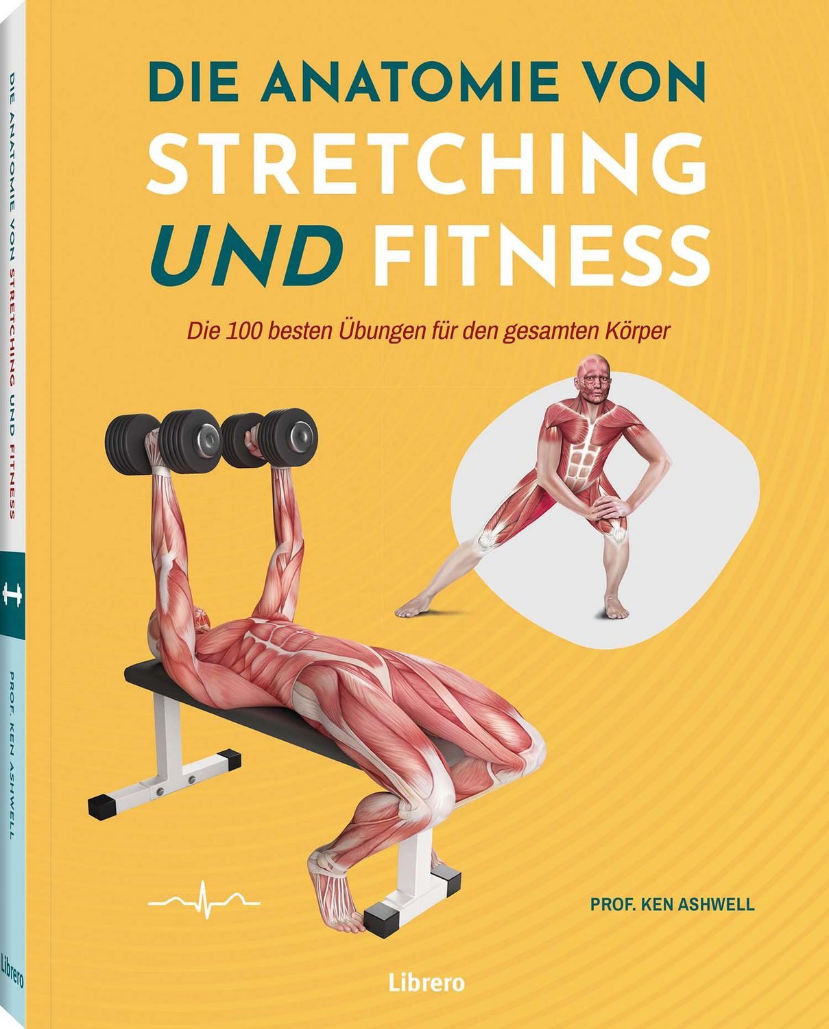Die Anatomie von Stretching und Fitness Ein wertvolles Lernmittel für / Ken Ashwell, Ein wertvolles Lernmittel für Studierende der Anatomie und Sportwissenschaften sowie für Fachkräfte im Gesundheitswesen