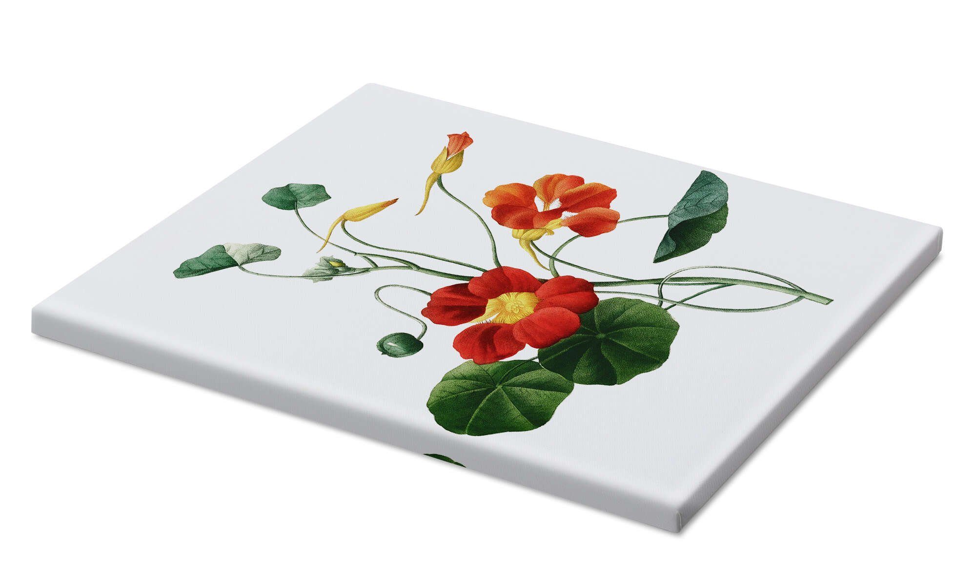 Posterlounge Wandbild Kapuzinerkresse, Pierre Joseph Redouté, günstig online kaufen