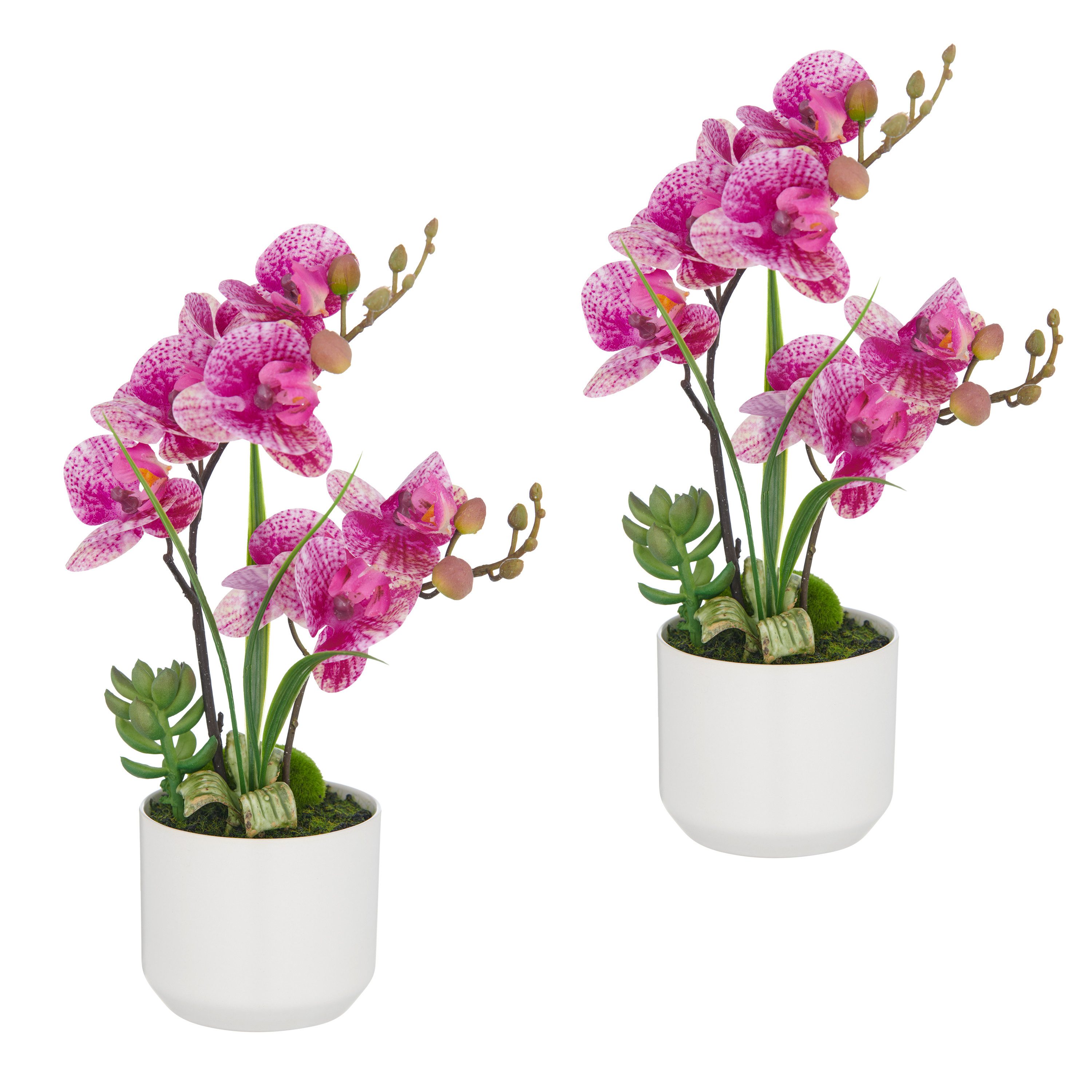 Kunstorchidee Orchidee Phalaenopsis, Creativ green, Höhe günstig online kaufen