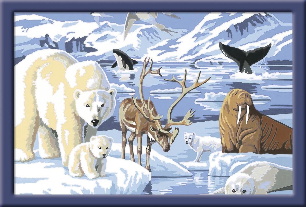 Ravensburger Malen nach Zahlen Tiere der Arktis, Made in Europe
