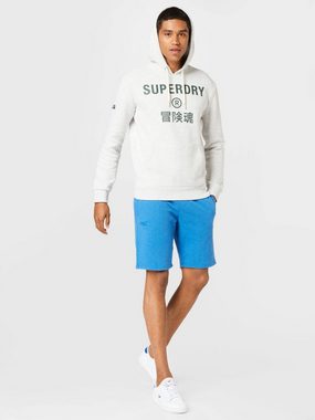 Superdry Sweatshirt (1-tlg)