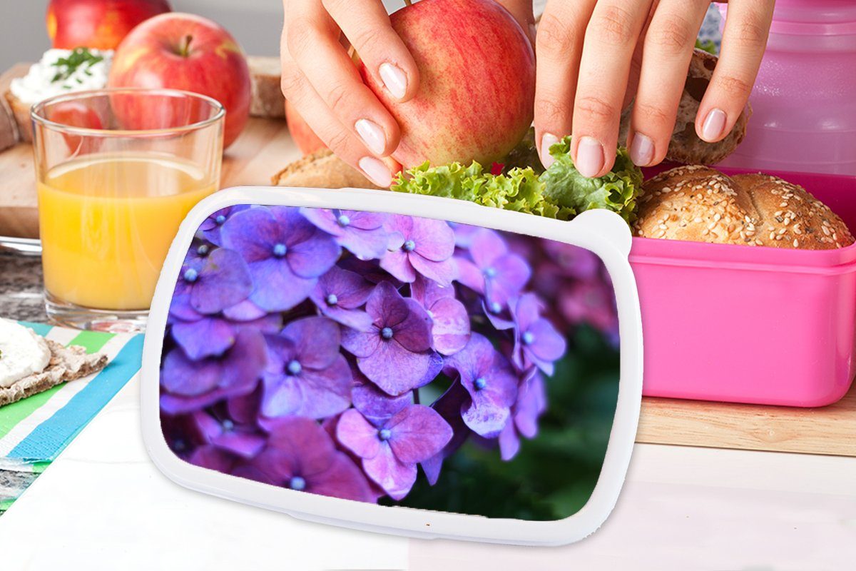 MuchoWow Lunchbox Blumen - Lila Blütenblätter, Kunststoff, - für - rosa Brotdose Kunststoff Snackbox, Mädchen, (2-tlg), Brotbox - Natur Hortensie Kinder, Erwachsene