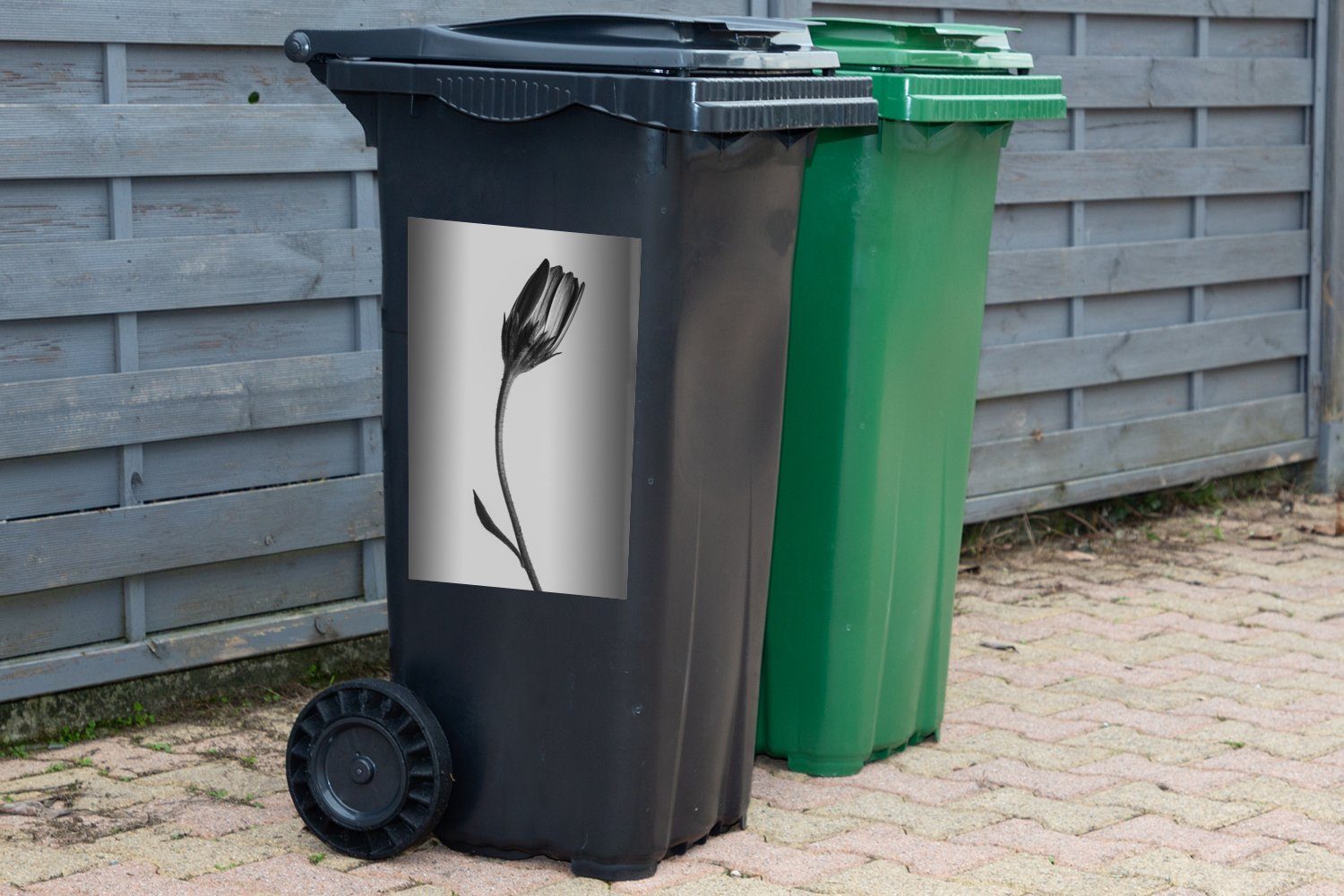(1 Container, Sticker, Pflanze Weiß - Mülltonne, - Abfalbehälter MuchoWow St), Makro Mülleimer-aufkleber, Wandsticker - Schwarz