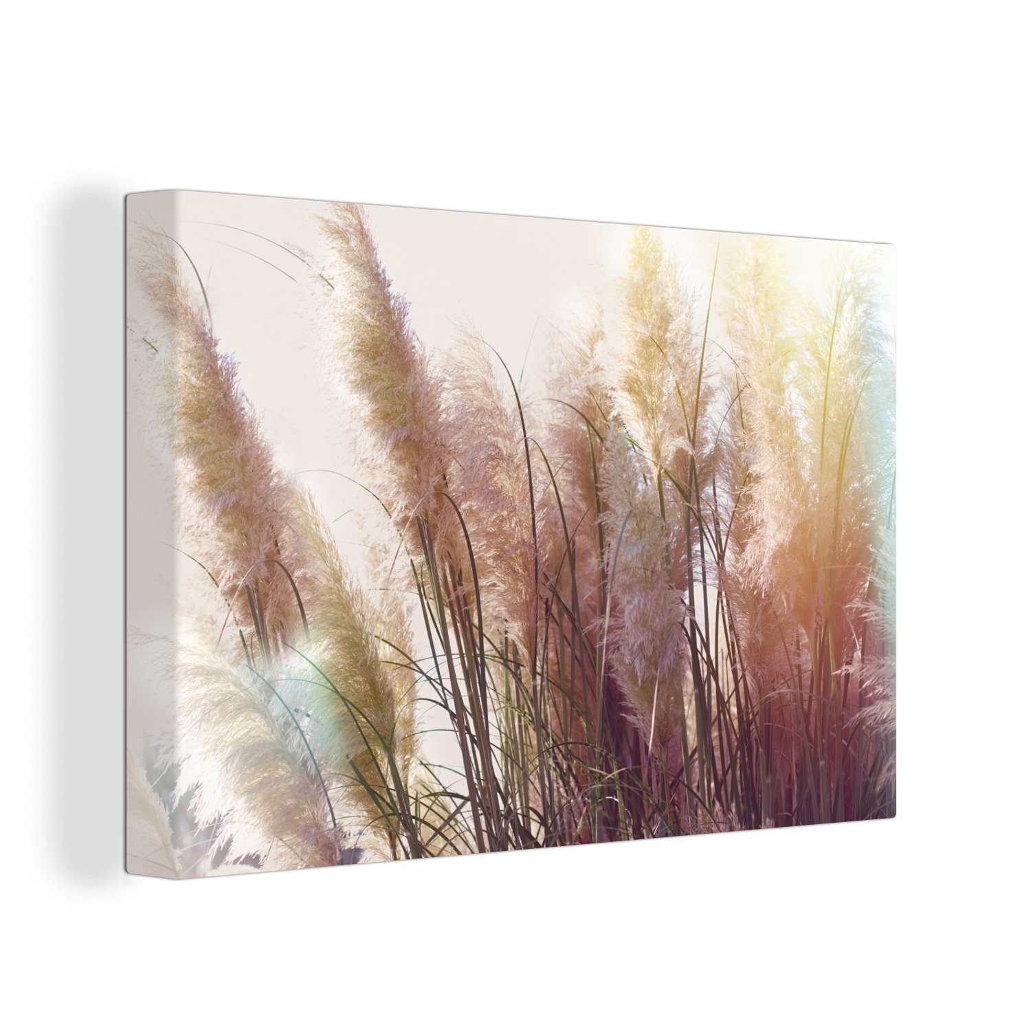 OneMillionCanvasses® Leinwandbild Stilleben - Farben - Schilf, (1 St), Wandbild für alle Wohnbereiche, Gemälde, XXL, großes, 120x80 cm