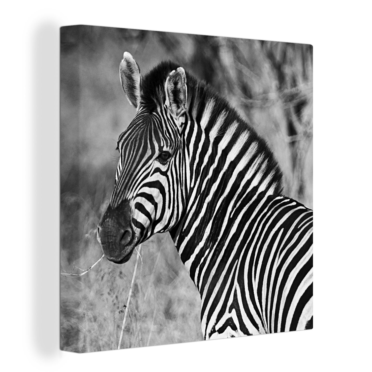 OneMillionCanvasses® Leinwandbild Zebra-Porträt, (1 St), Leinwand Bilder für Wohnzimmer Schlafzimmer