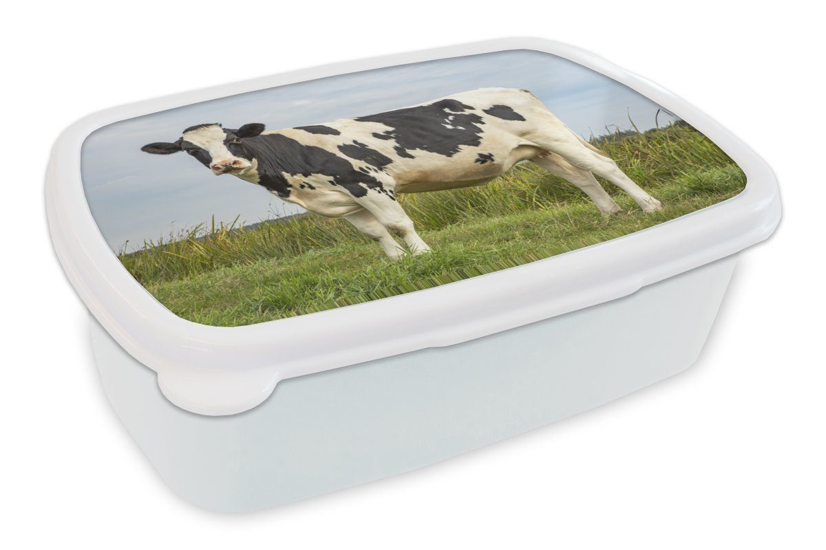 MuchoWow Lunchbox Kuh - Friesland - Niederlande, Kunststoff, (2-tlg), Brotbox für Kinder und Erwachsene, Brotdose, für Jungs und Mädchen weiß | Lunchboxen