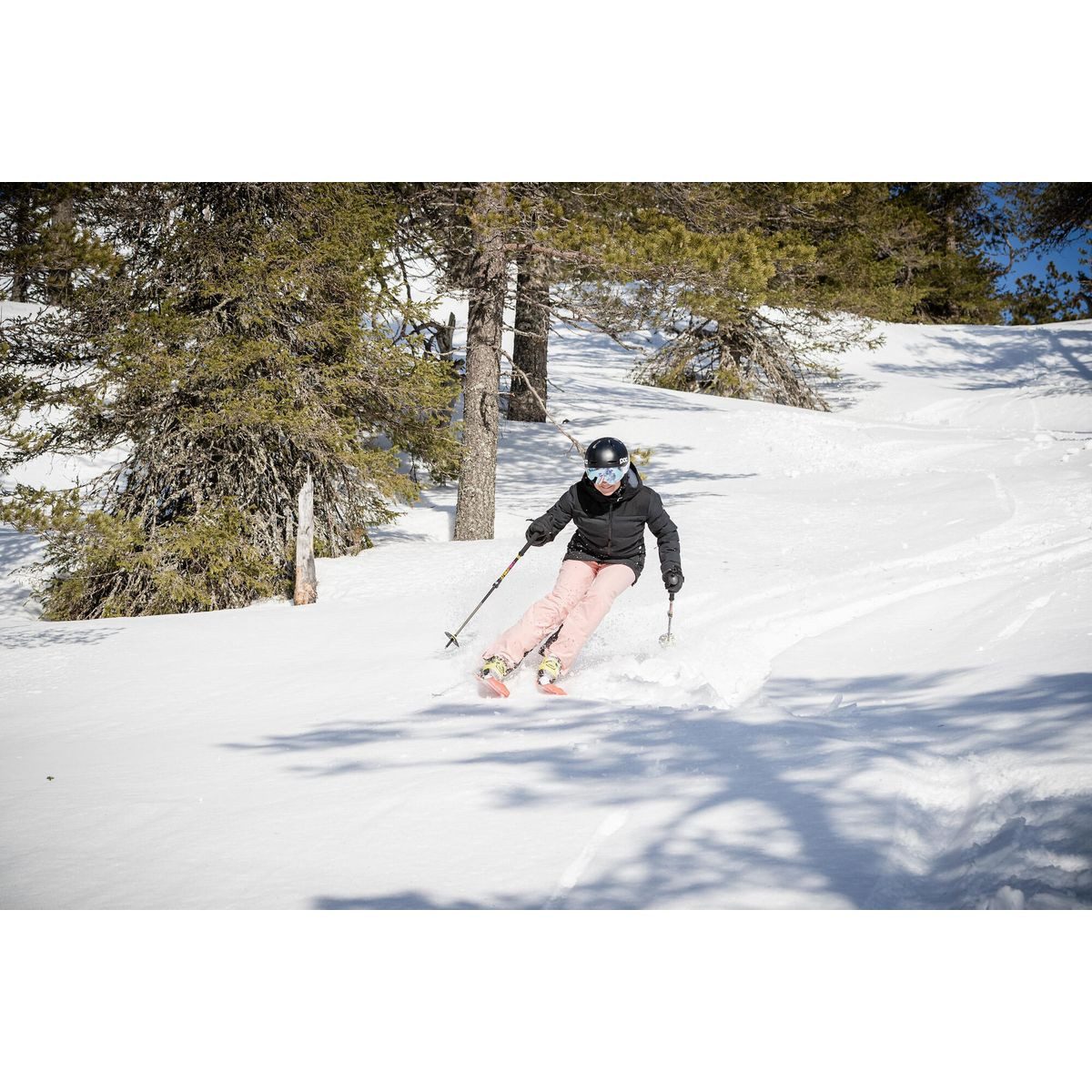 HALTI Skijacke Sassy Women's Softshell Ski Jacket