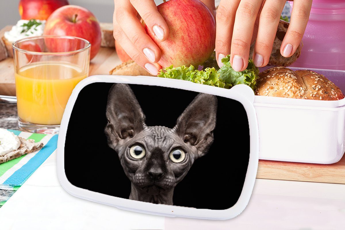 - Kunststoff, Lunchbox und Erwachsene, Schwarz, weiß MuchoWow Katze Porträt Mädchen für Brotbox Haustiere Jungs - für Kinder - und Brotdose, (2-tlg),