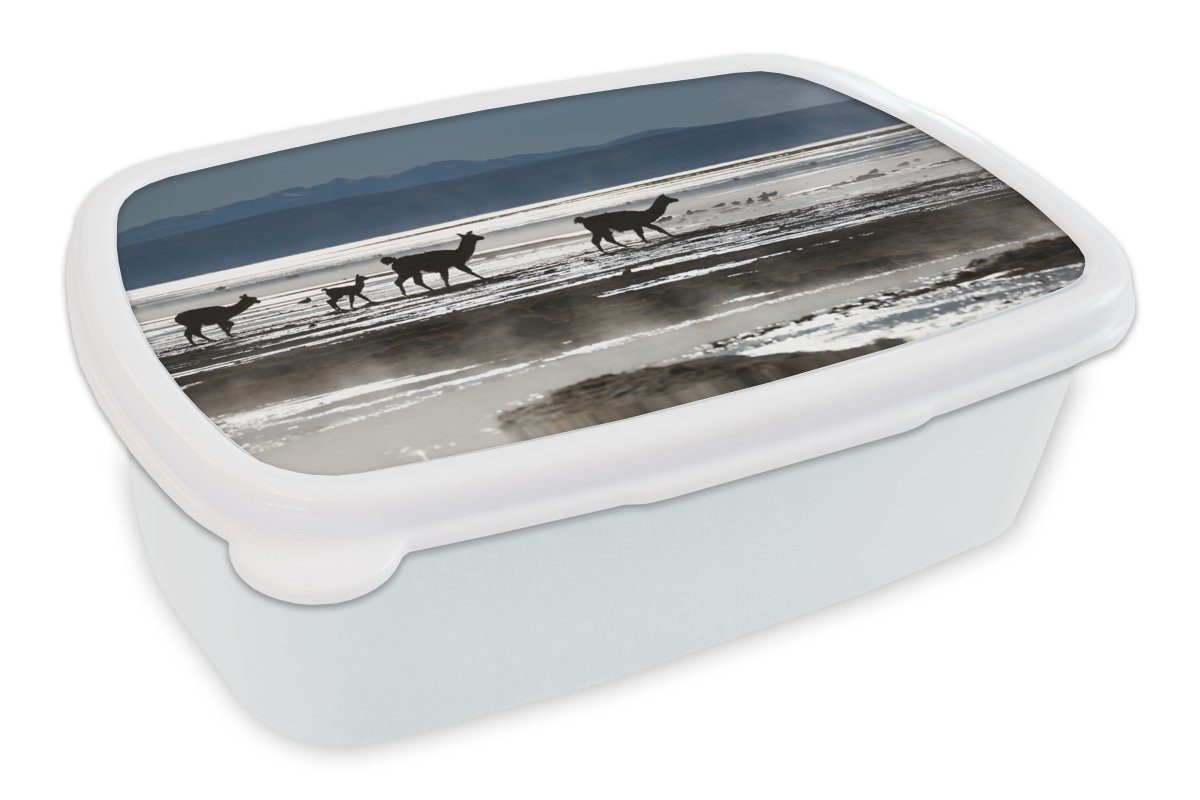 MuchoWow Lunchbox Alpakas - Berg - Wasser, Kunststoff, (2-tlg), Brotbox für Kinder und Erwachsene, Brotdose, für Jungs und Mädchen weiß