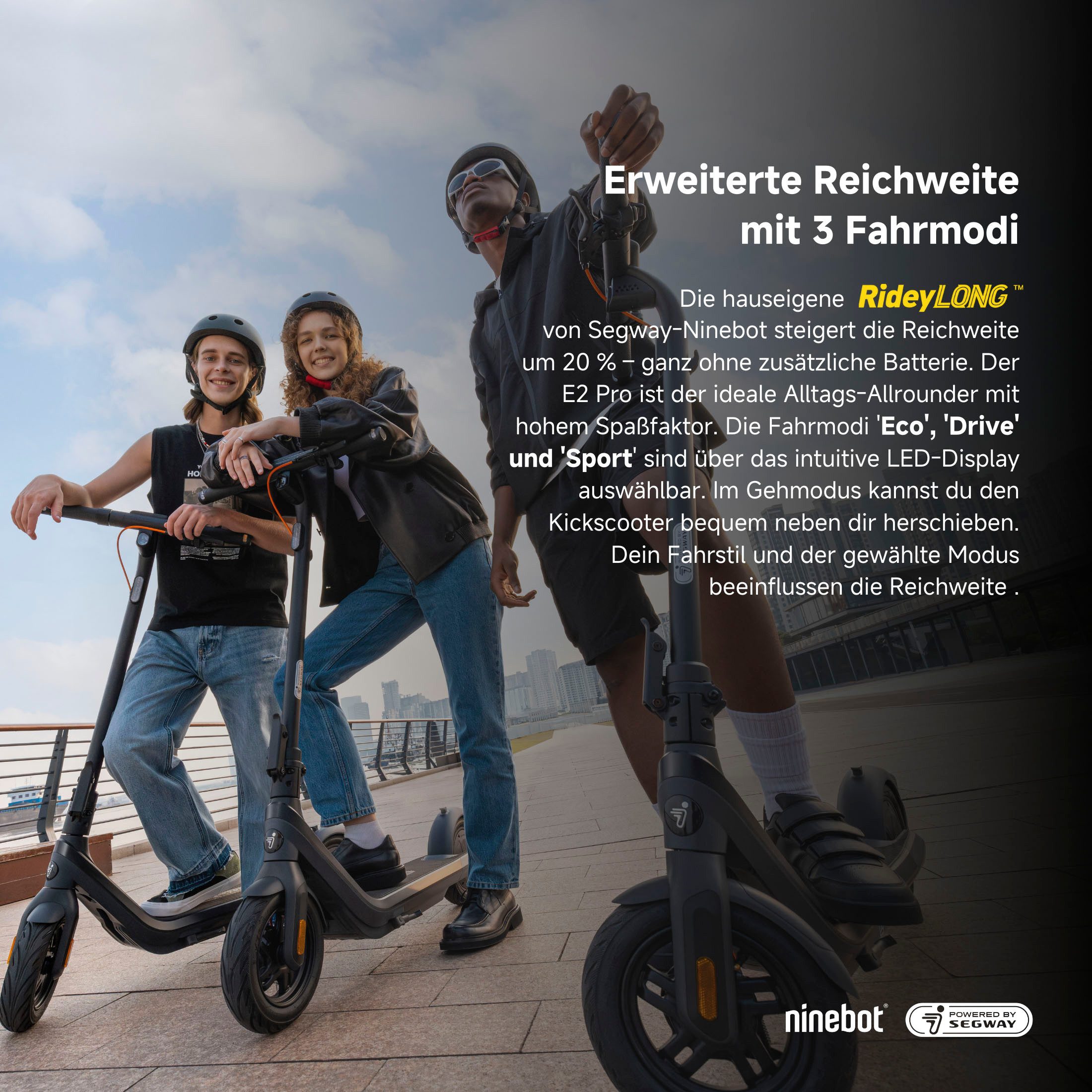 Segway E-Scooter KickScooter E2 PRO D, 20 km/h, Ninebot E-Scooter, mit Straßenzulassung, bis zu 35 km Reichweite