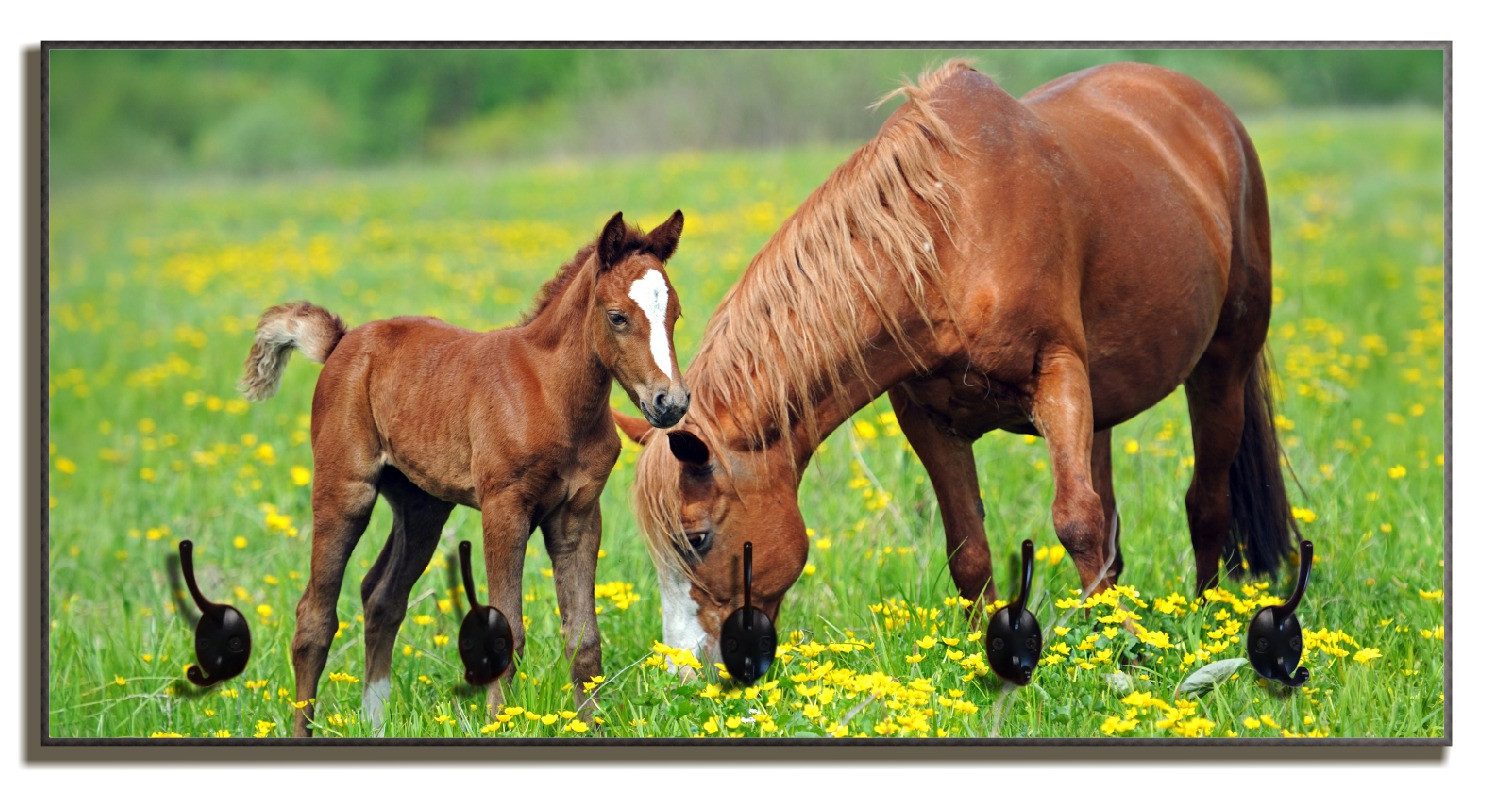 Wallario Garderobenpaneel Pferde auf der Koppel (1-teilig, inkl. Haken und Befestigung), 80x40cmHolz