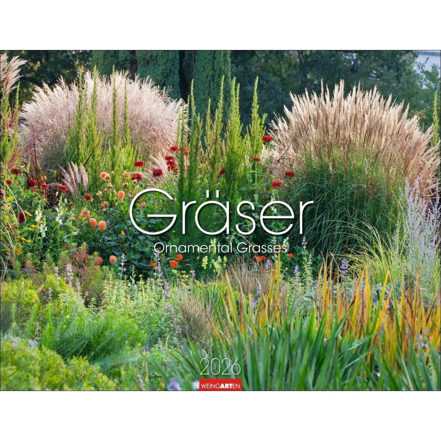 Wandkalender Gräser Календари 2026